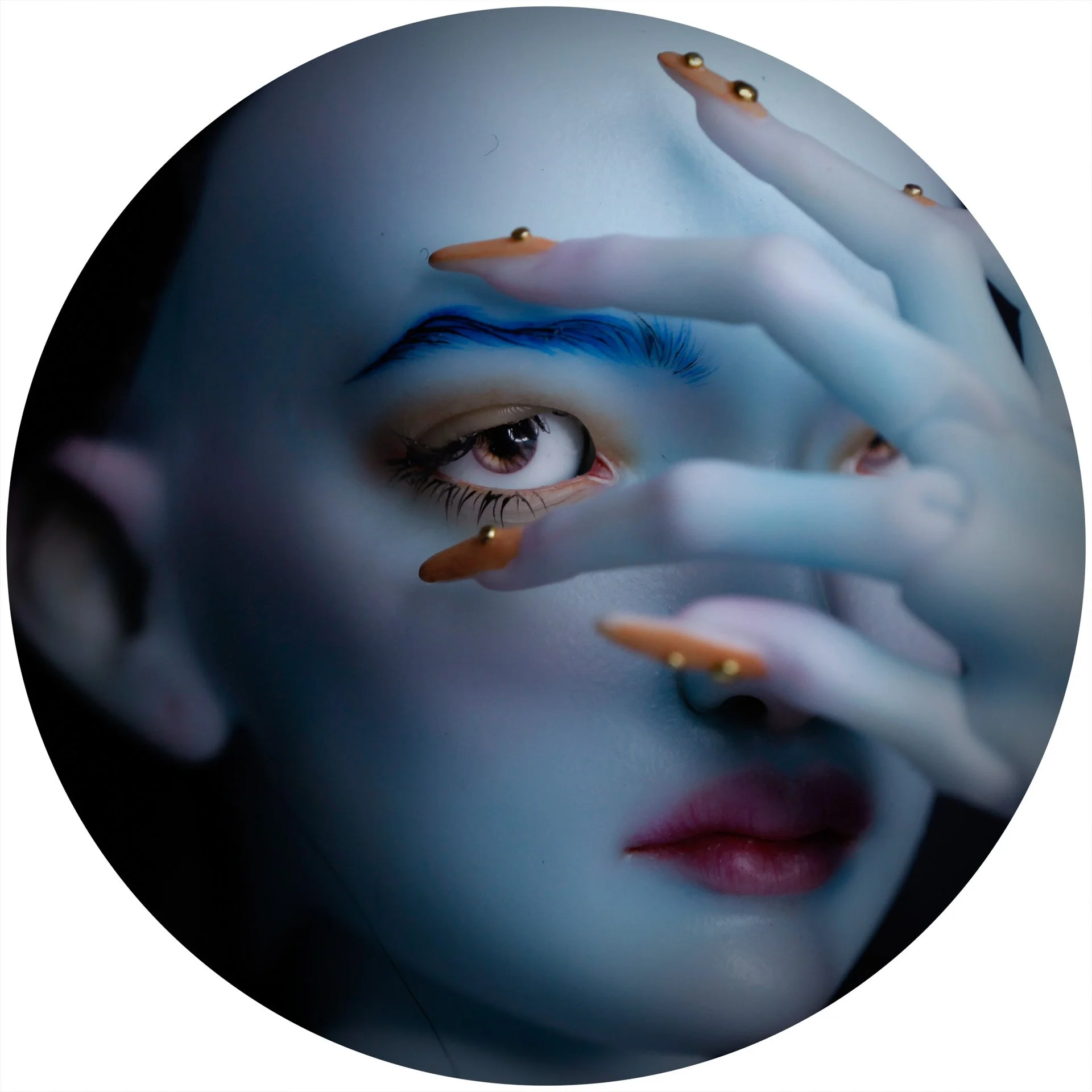 11.02.25 Idea Blue Blood 14.jpeg