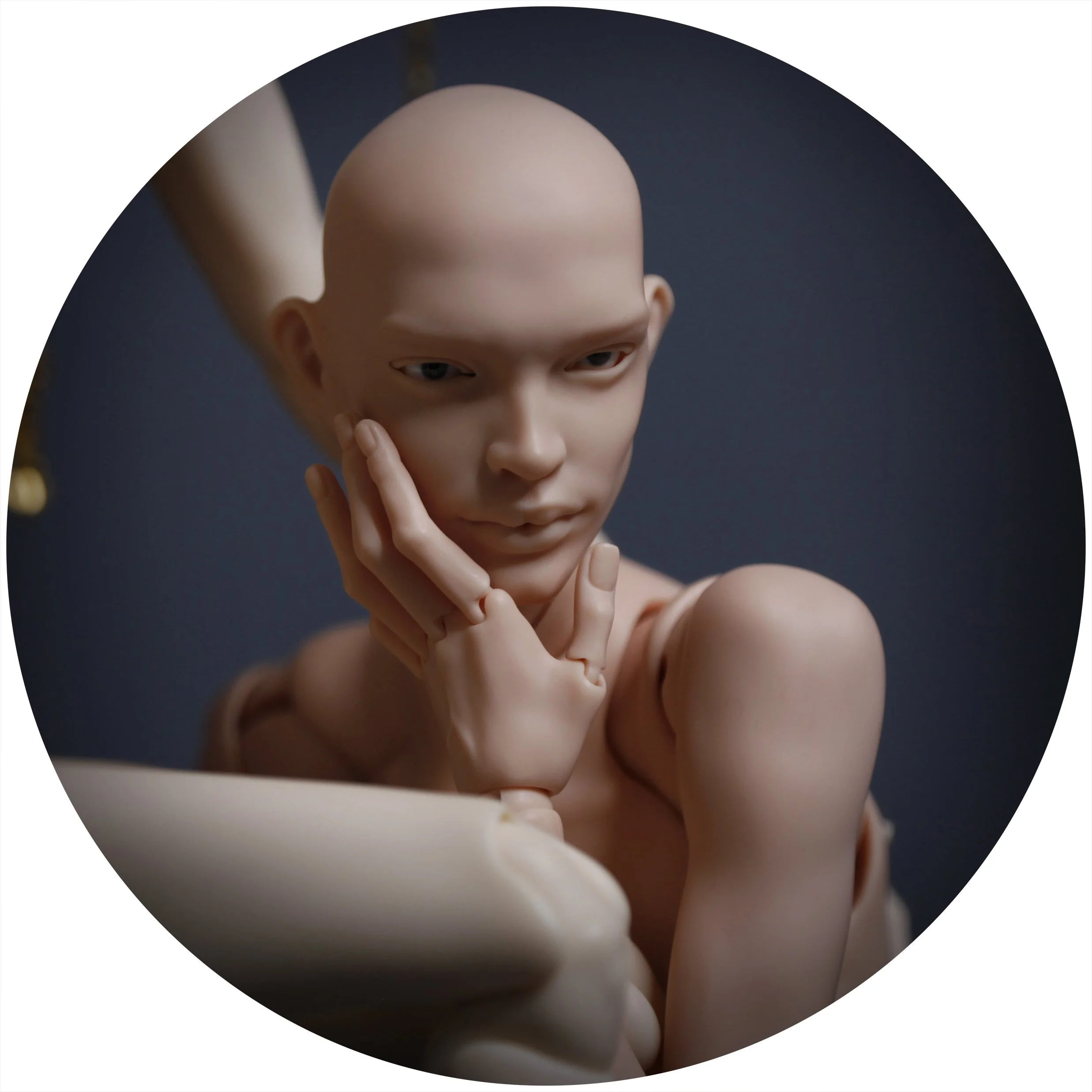 3.29.26 XY BLANKS 2.jpg