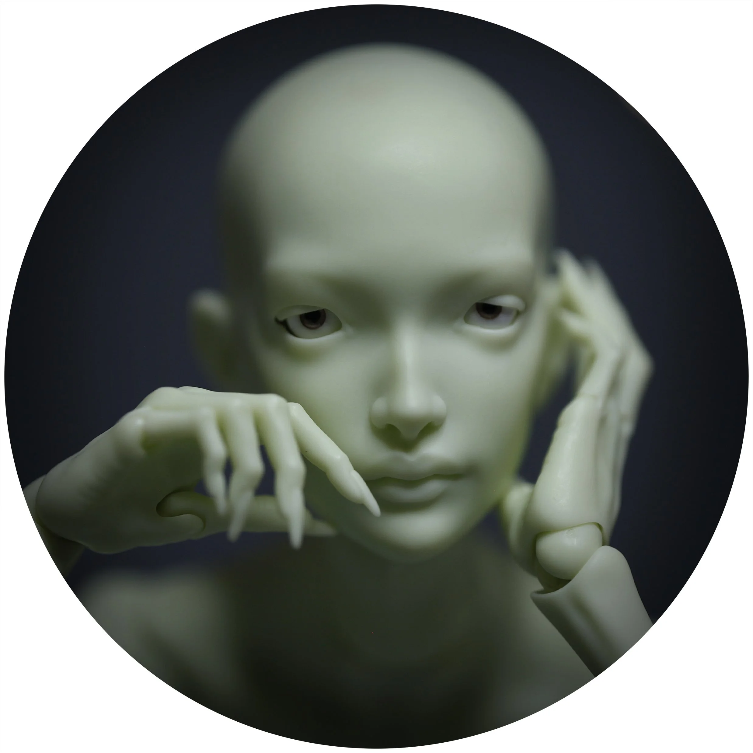 IDA 8.jpg