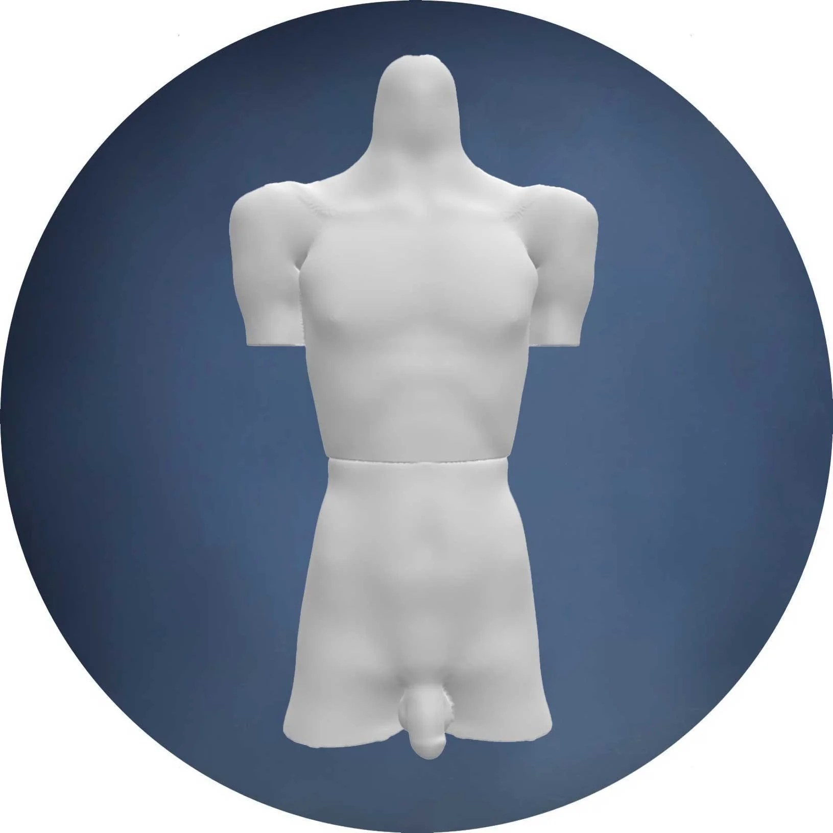 XYMiniBodyMannequin.jpg