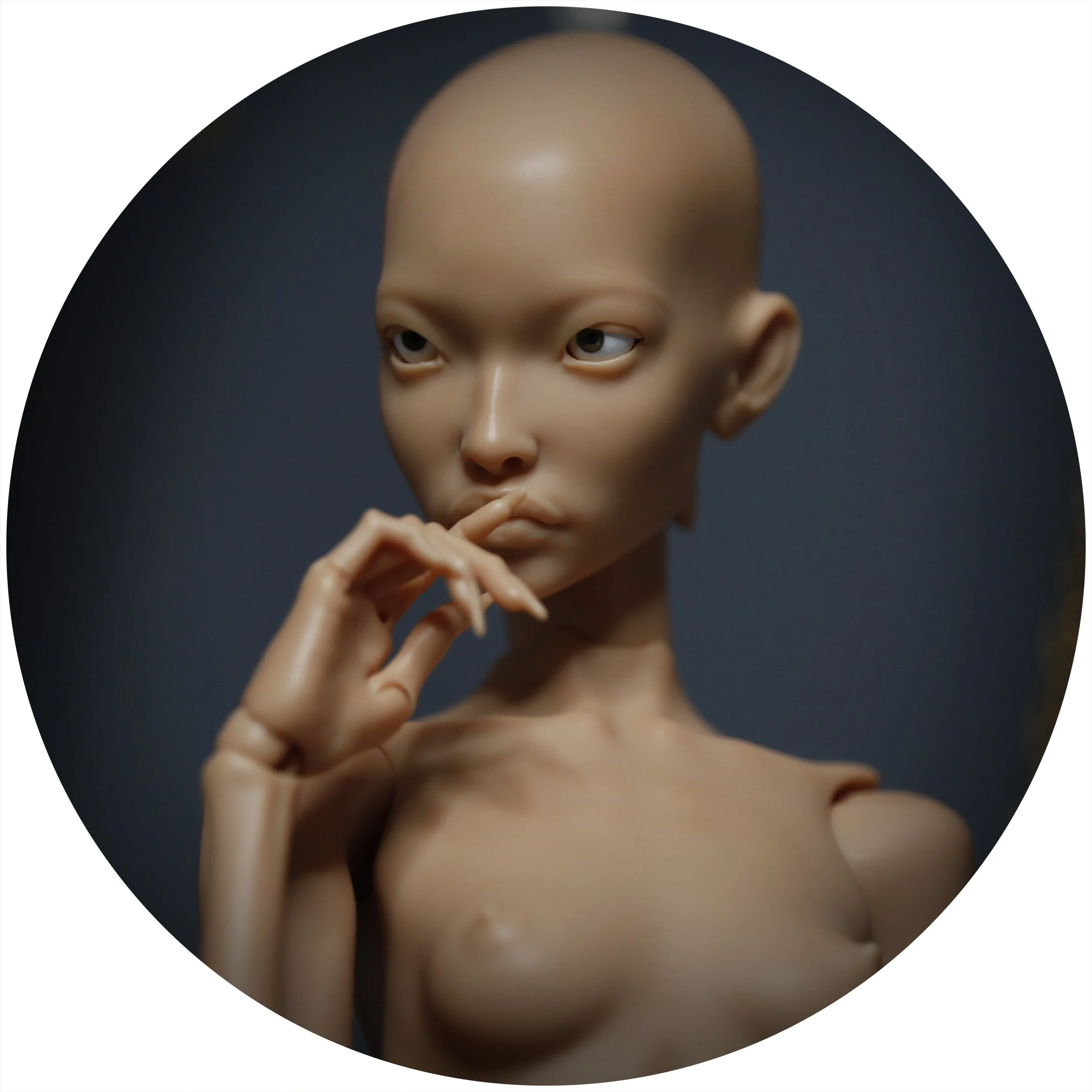 4.12.26 PREORDER 4.jpg