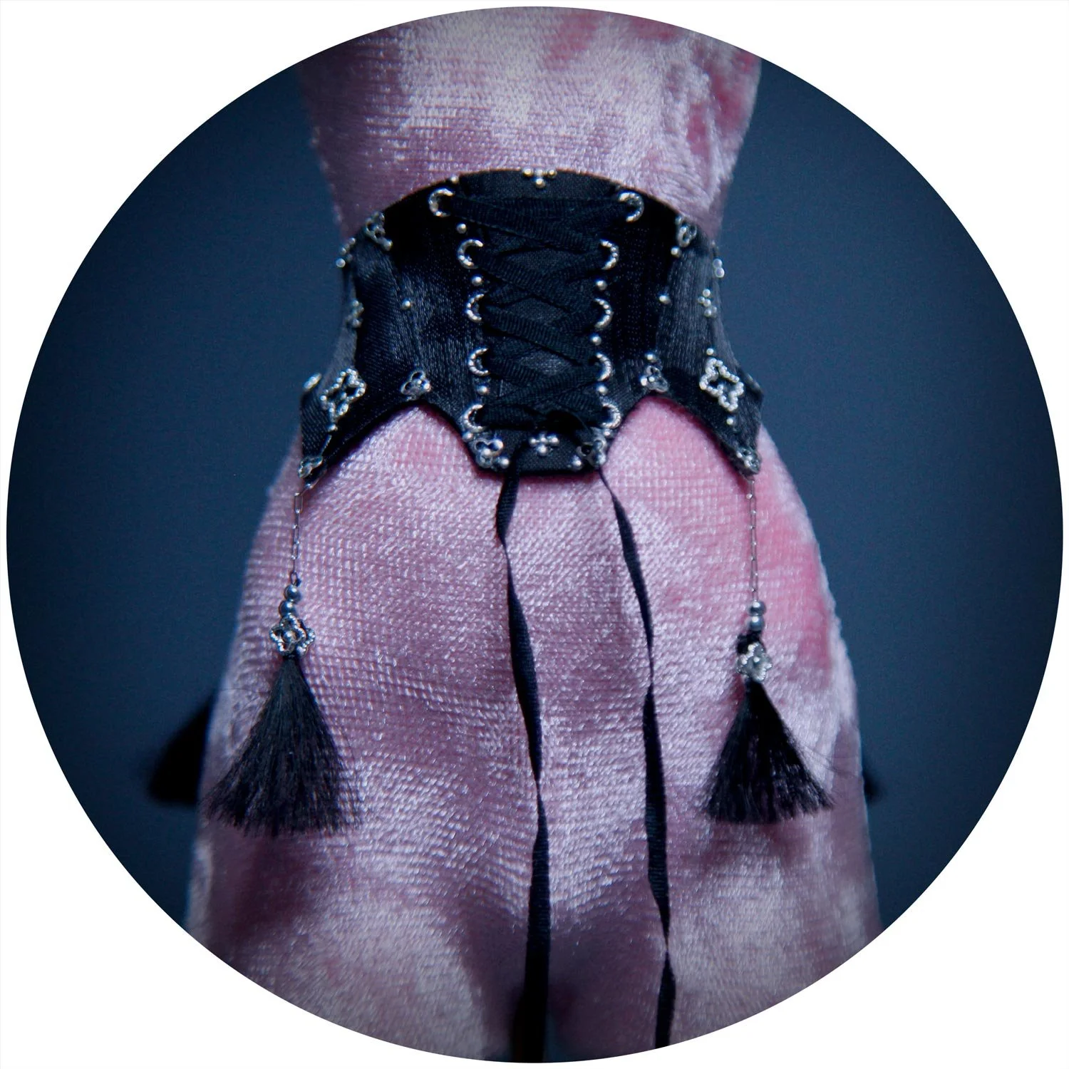 Decorum & Desire Cincher