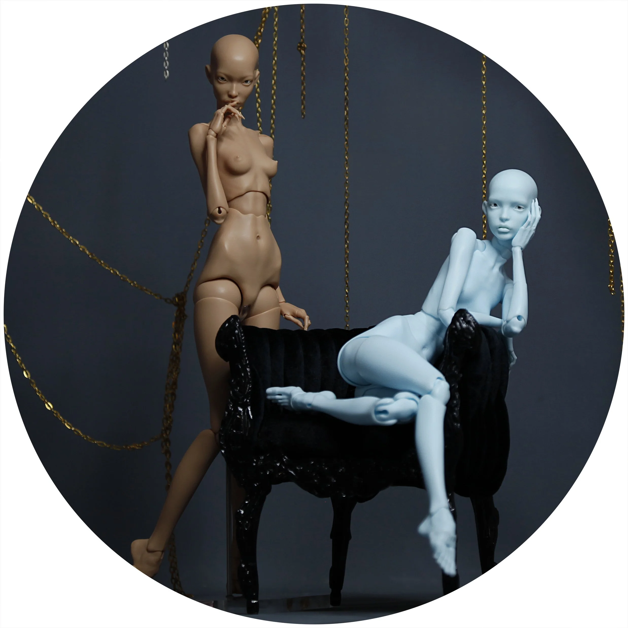 4.12.26 PREORDER 1.jpg