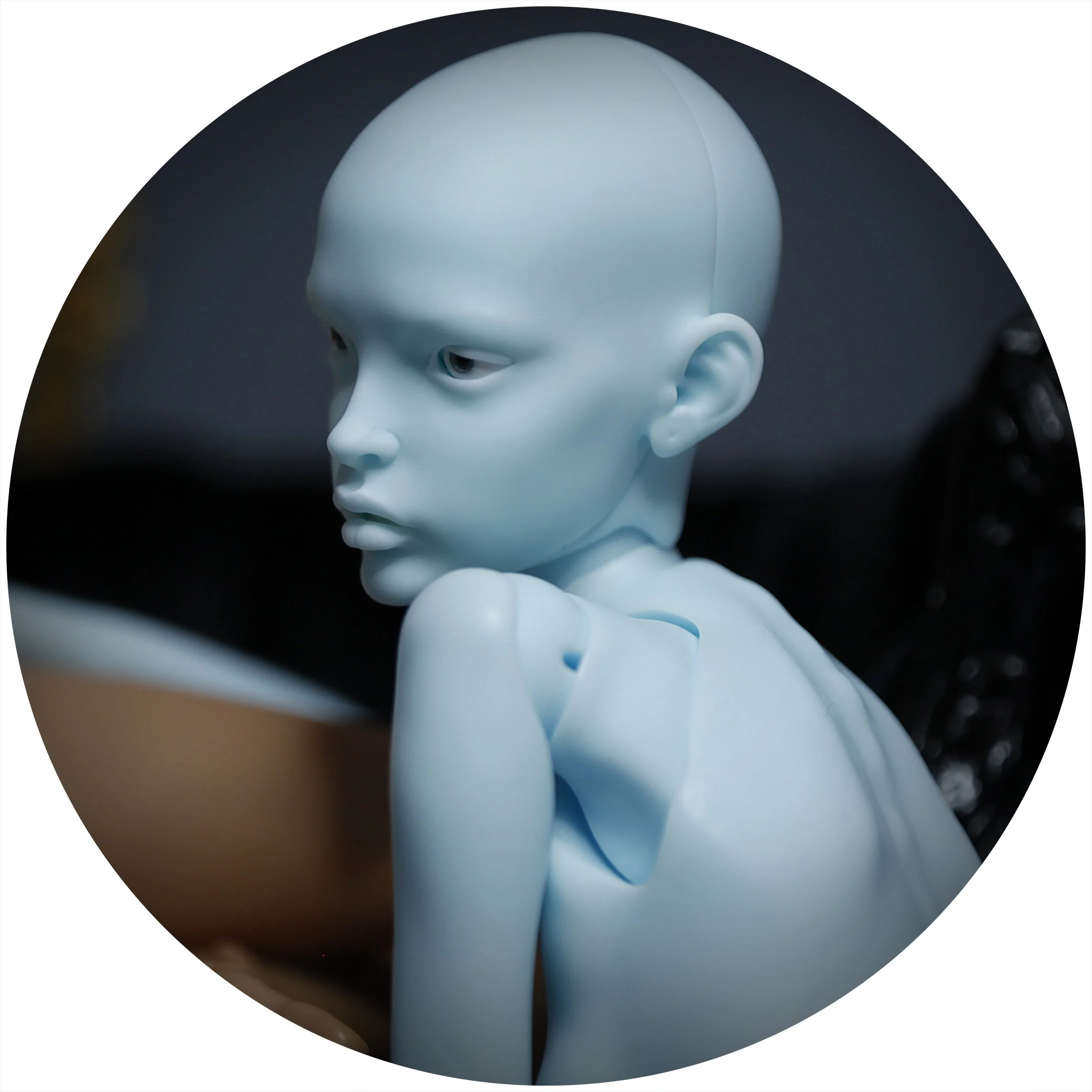 4.12.26 PREORDER 2.jpg