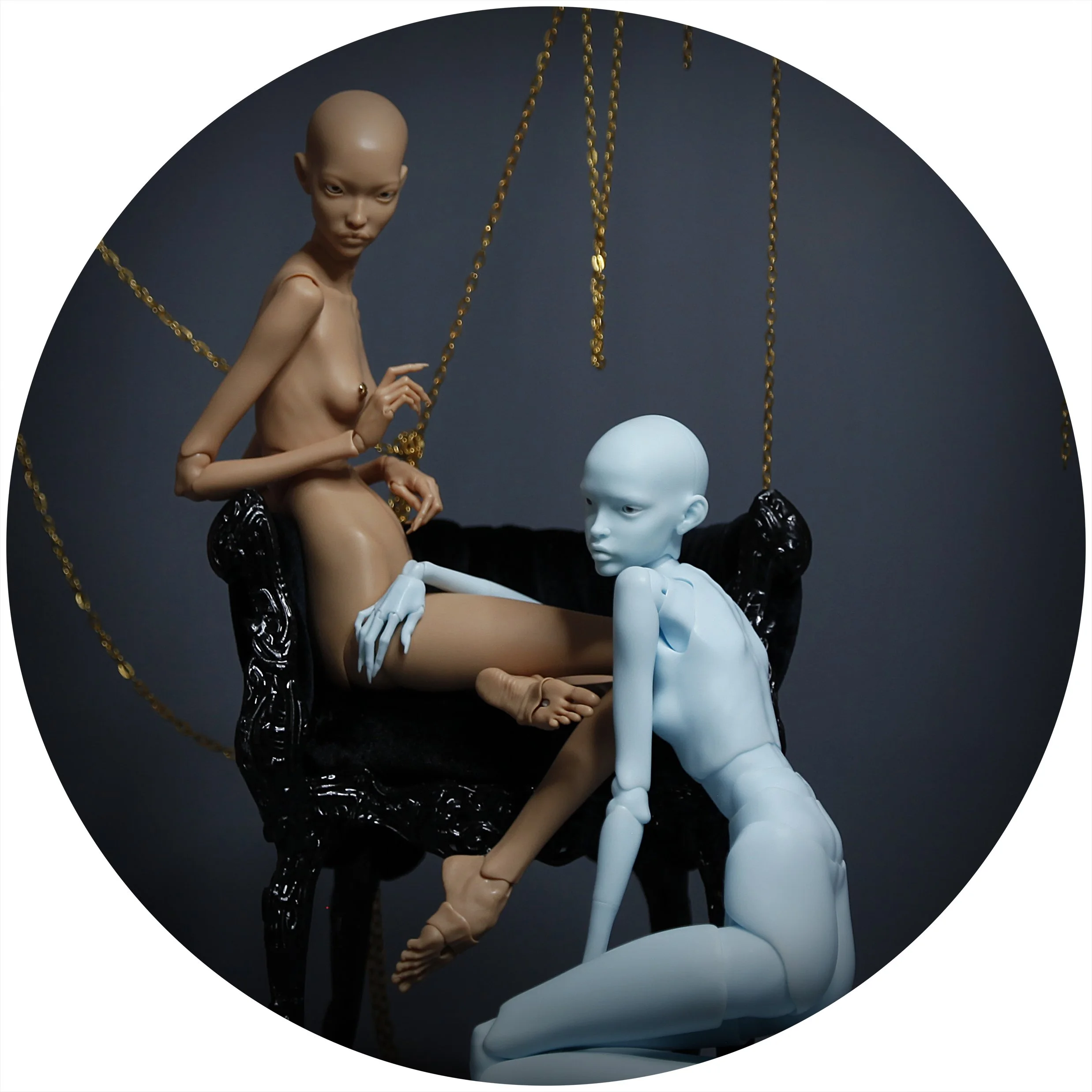 4.12.26 PREORDER 7.jpg