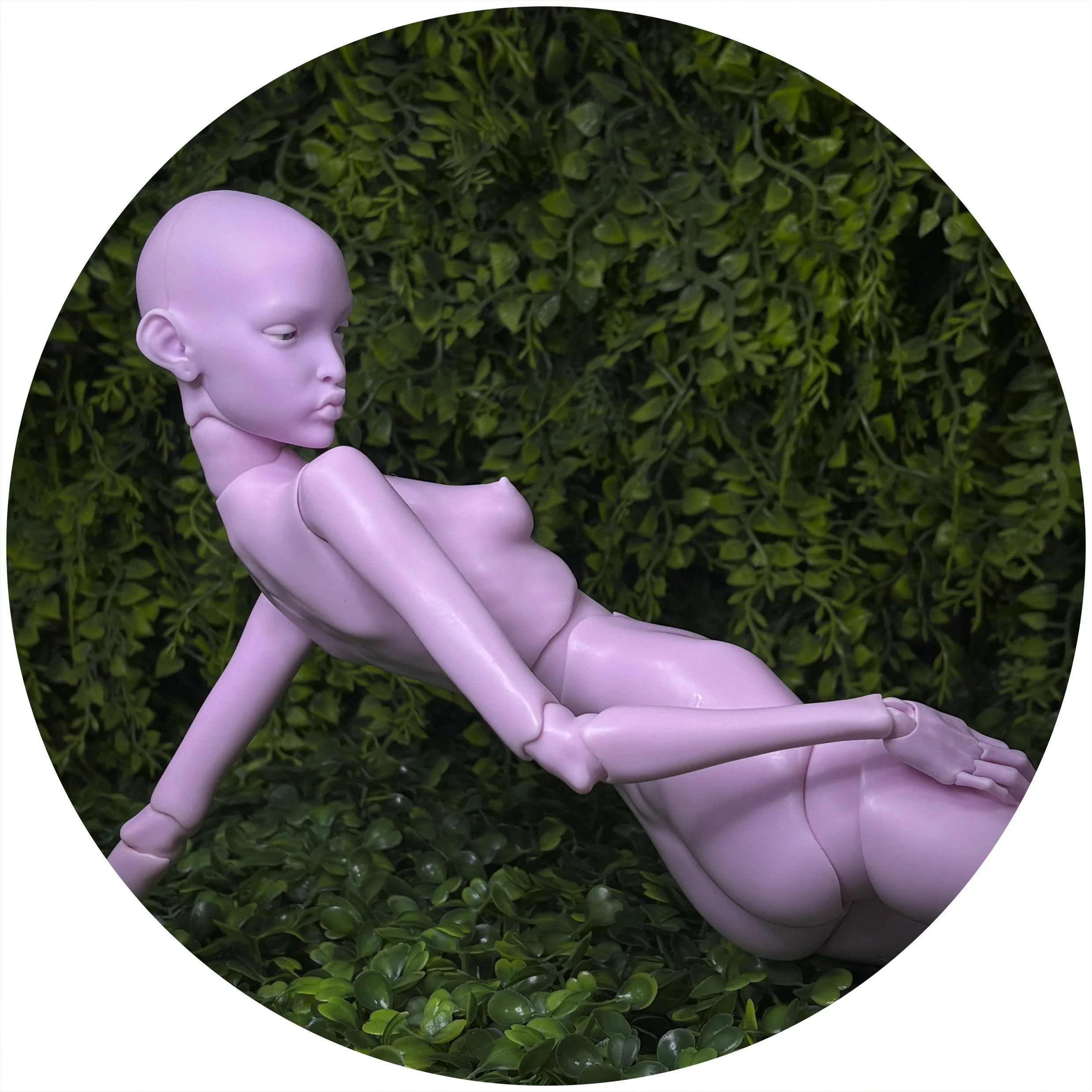 LILAC LIE CRAVE 3.jpg