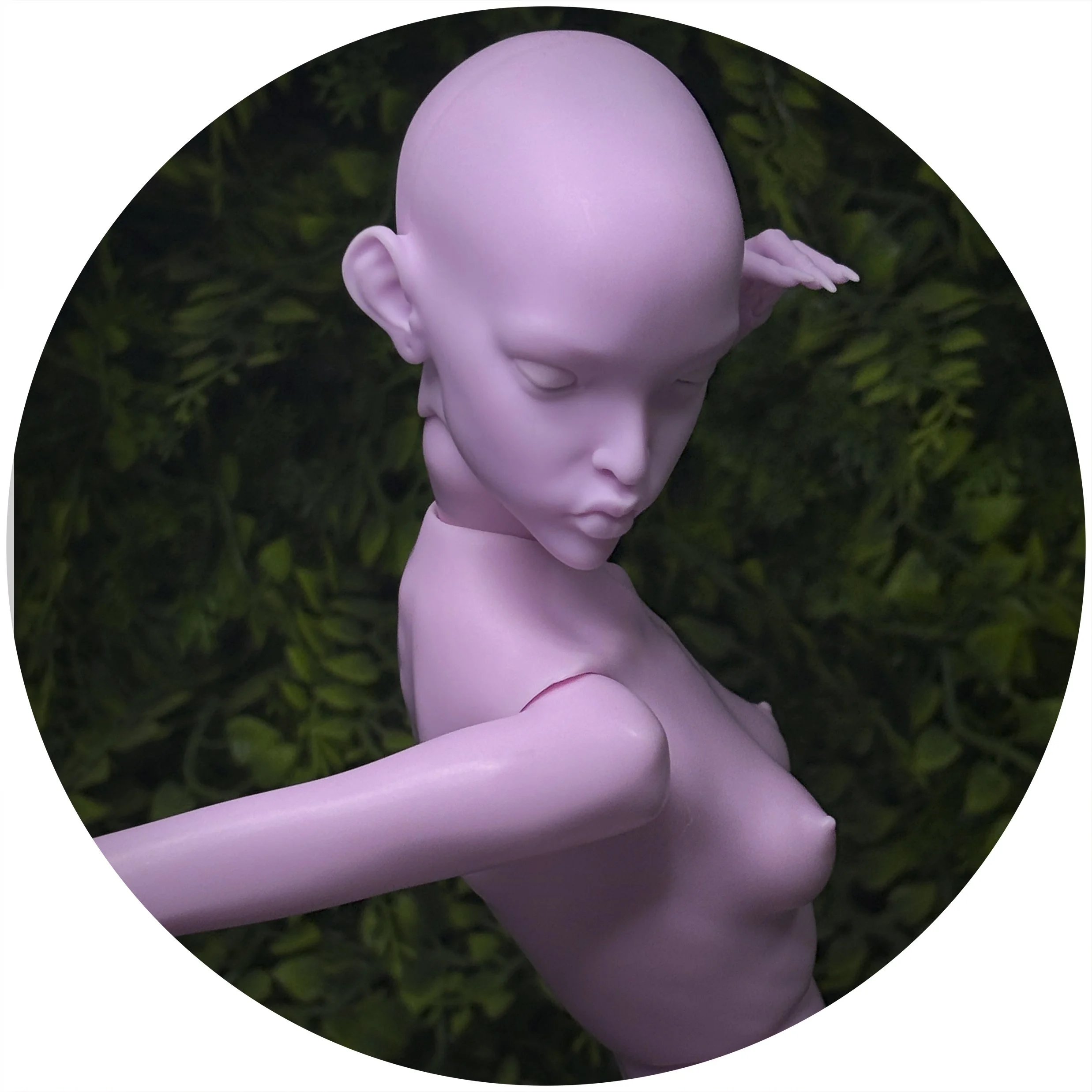 LILAC LIE CRAVE 2.jpg