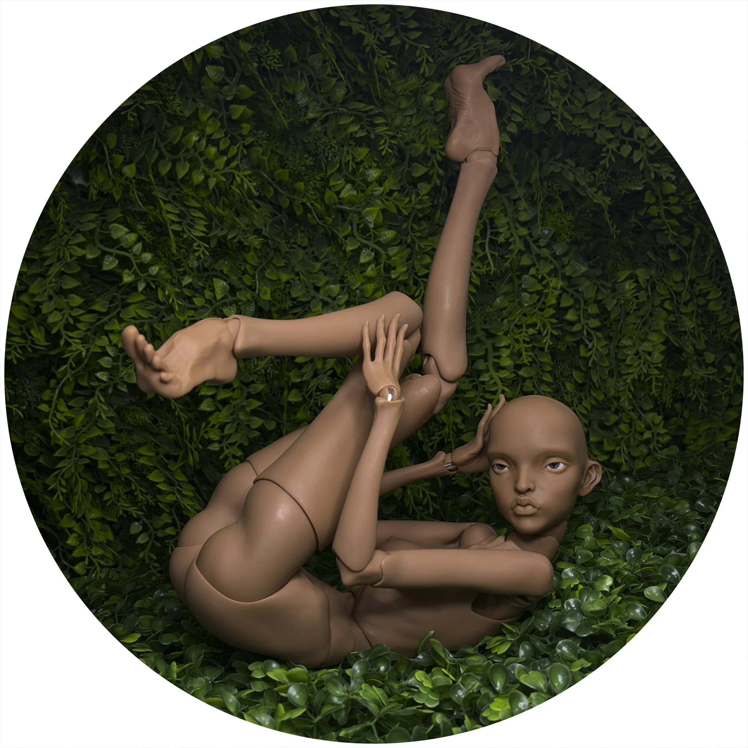 Ebony Silk OG CRAVE 3.jpg