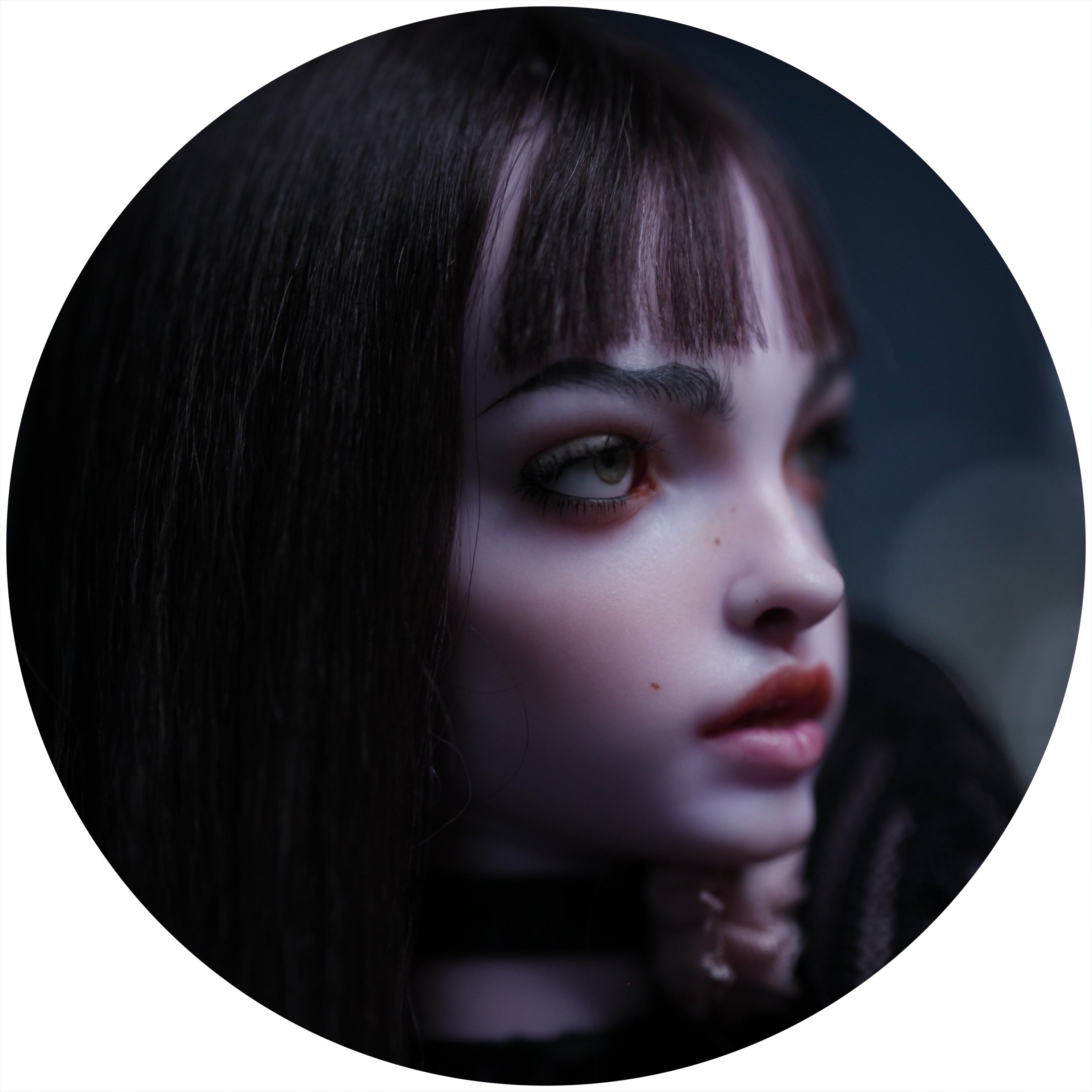NRV FS 6.jpg