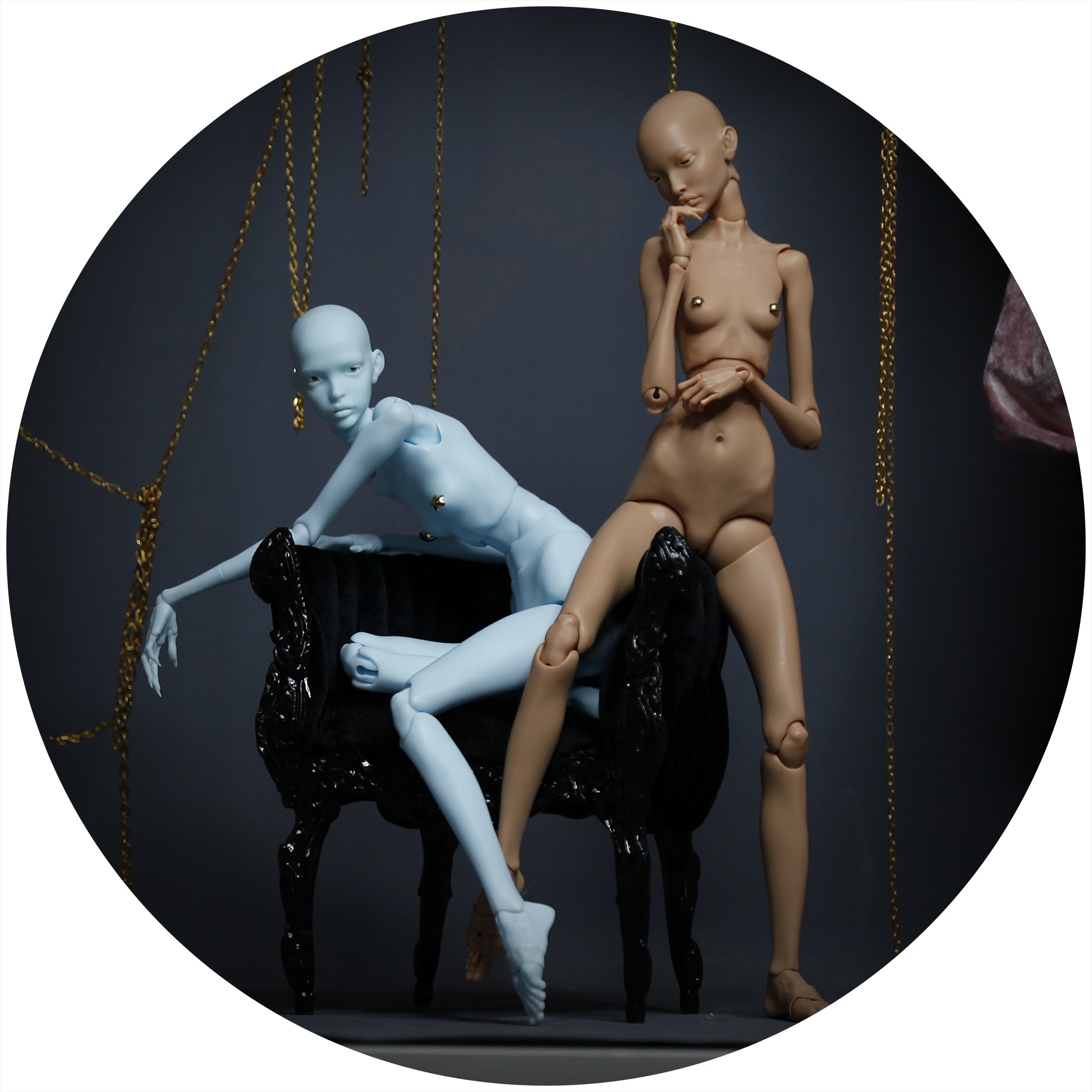 4.12.26 PREORDER 3.jpg