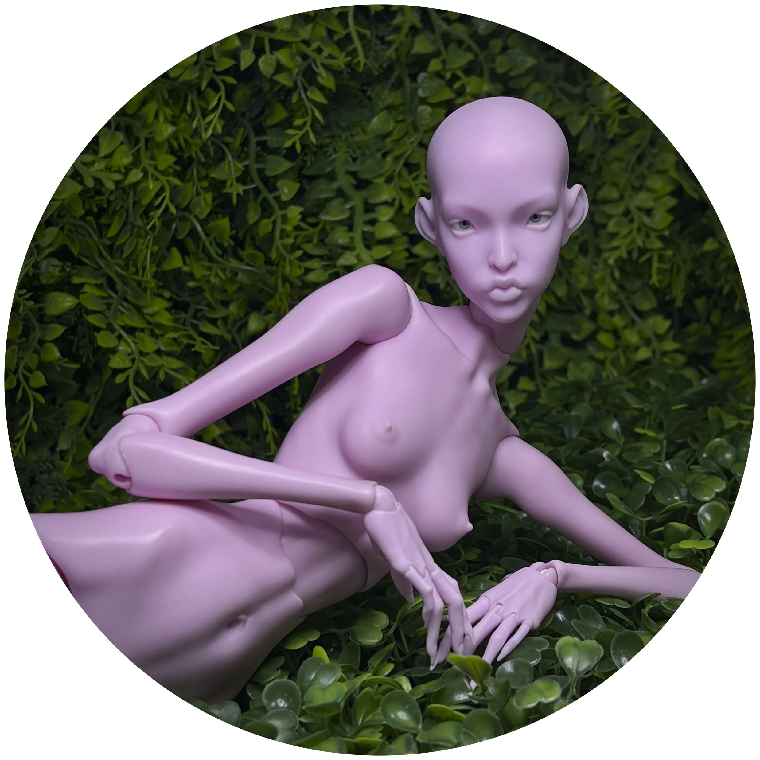 LILAC LIE CRAVE 1.jpg