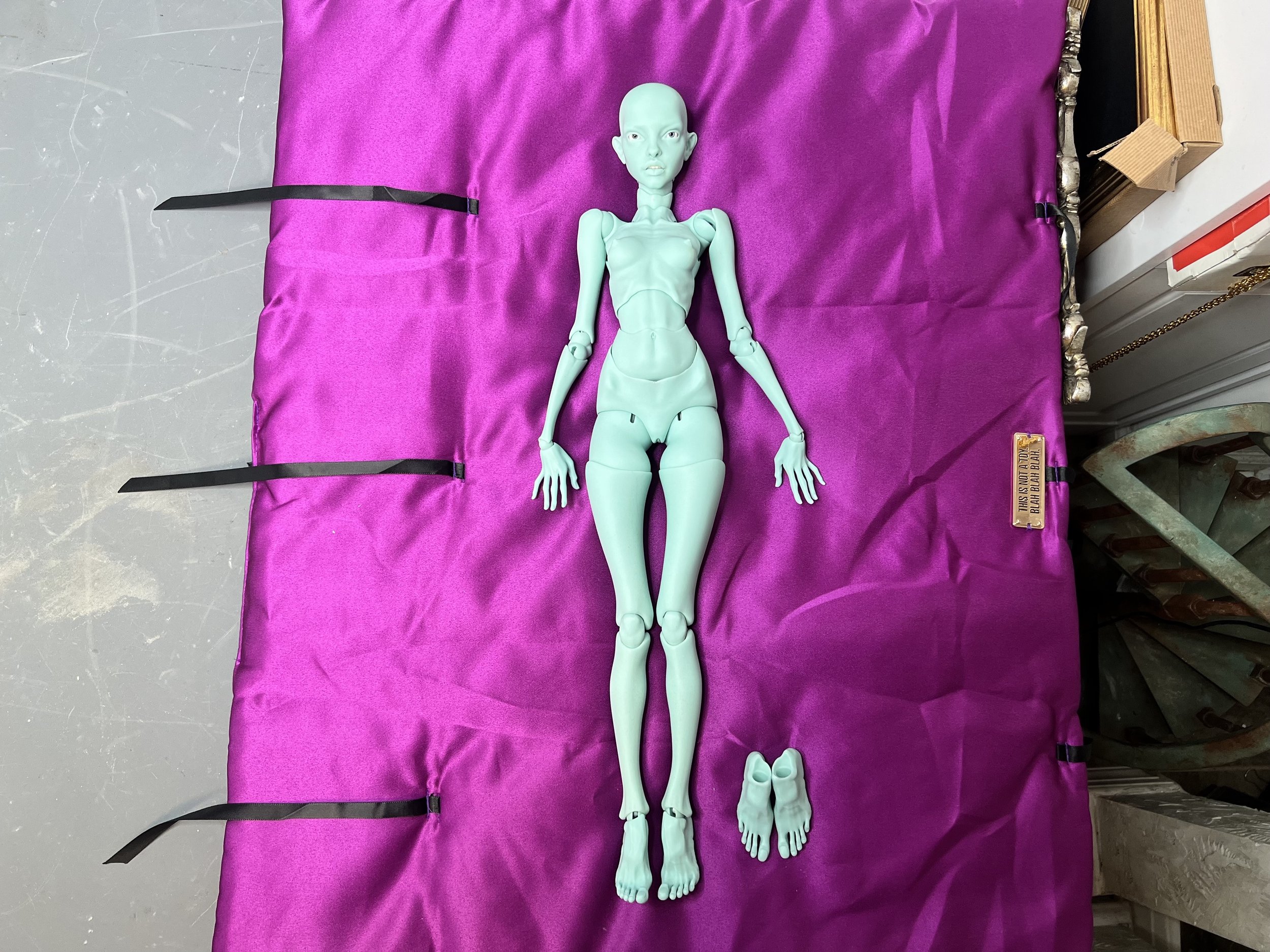 1-BB Nerve.jpg