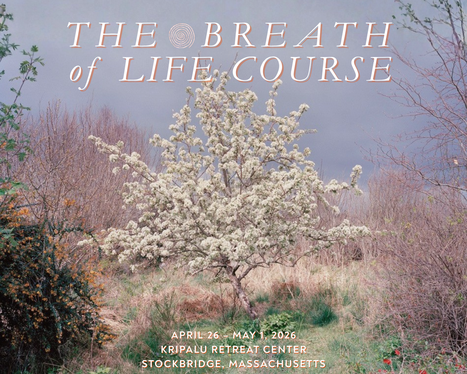 Breath of Life Course | Level 1 Training | Kripalu, Massachusetts
