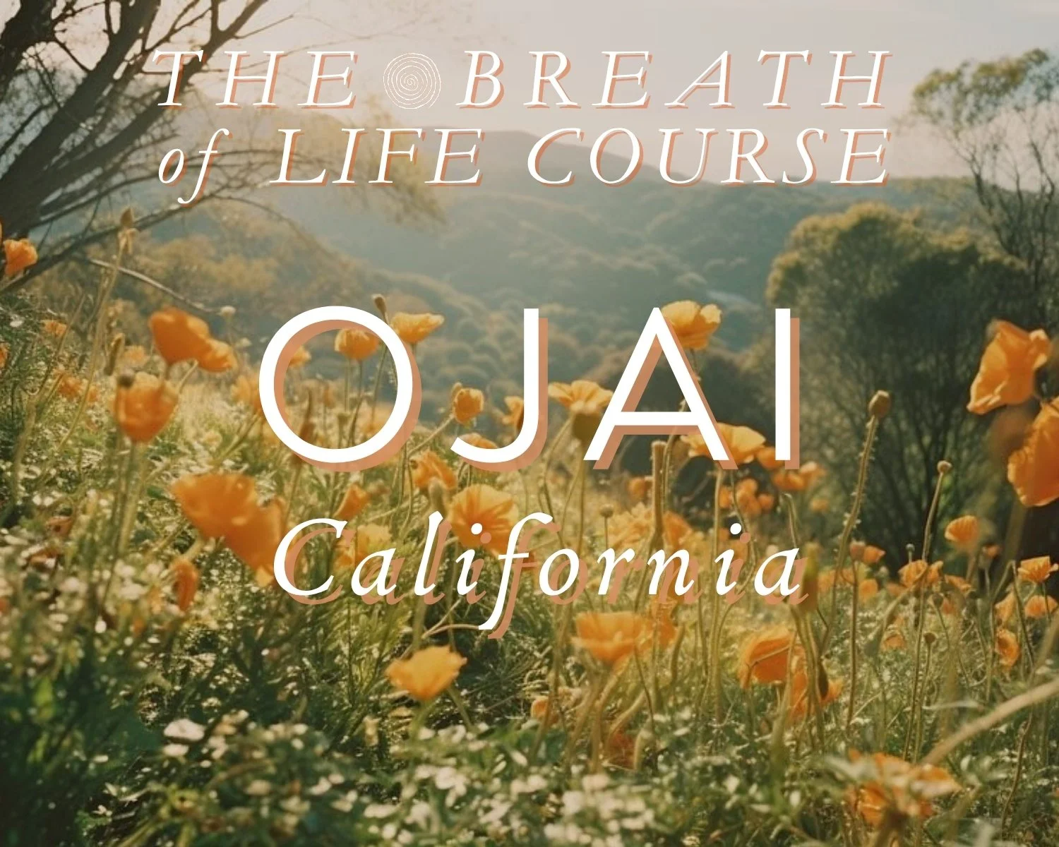 Ojai Introductory Immersion