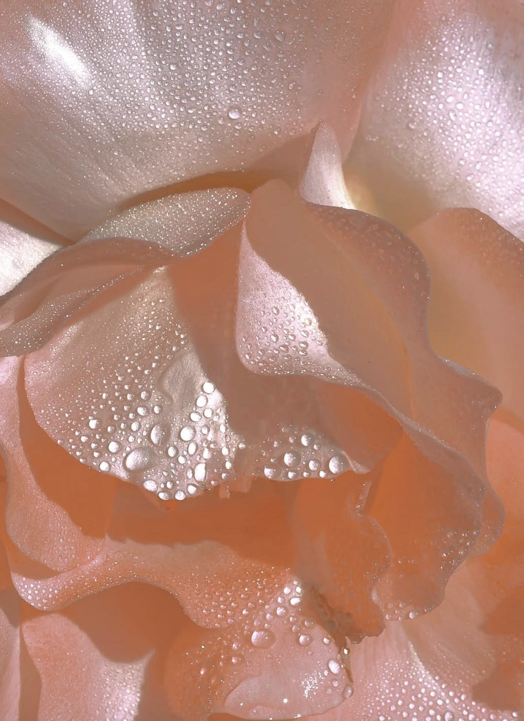 February Stillness Sit