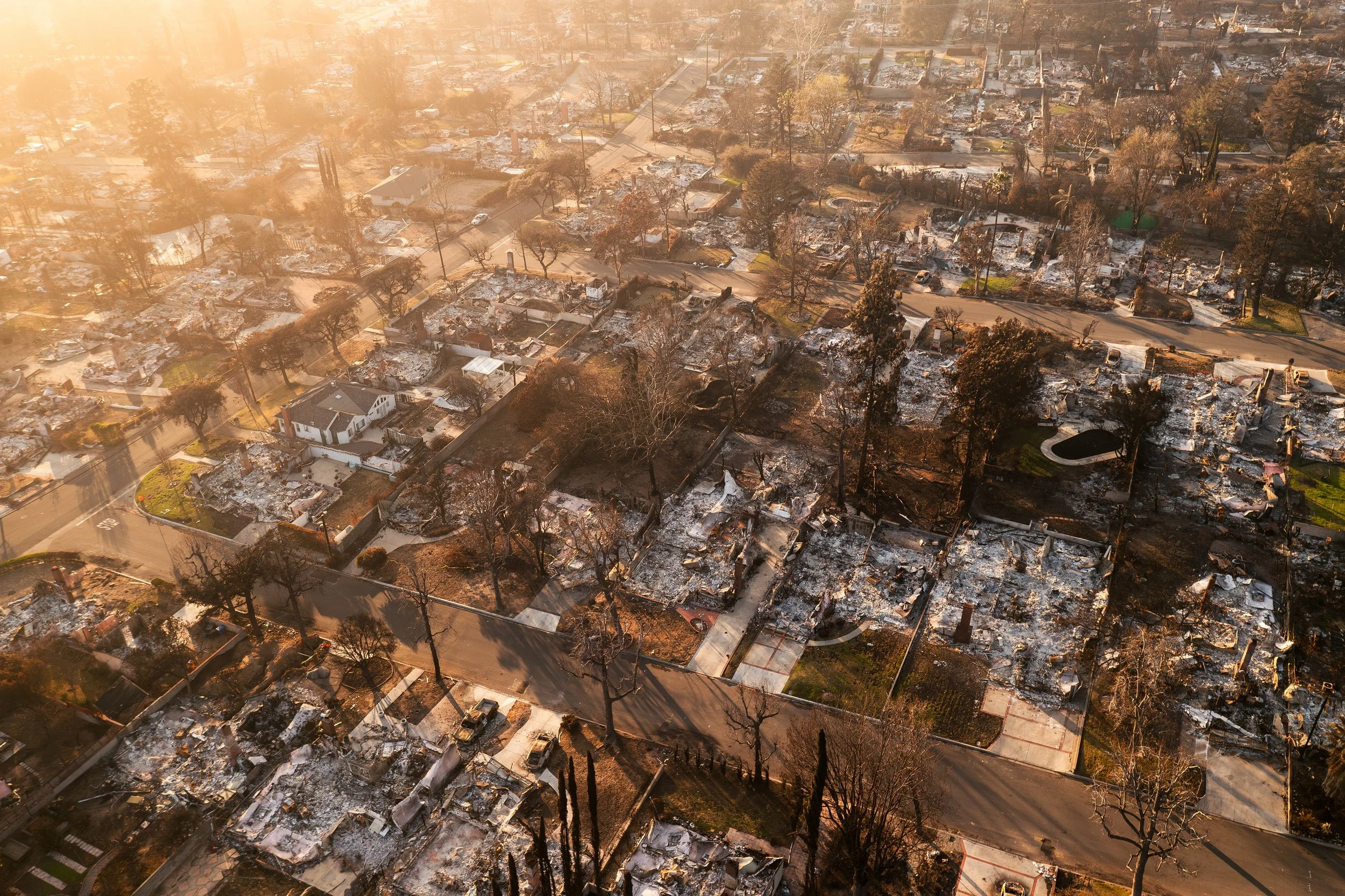 8 - Survival in the Altadena Flats