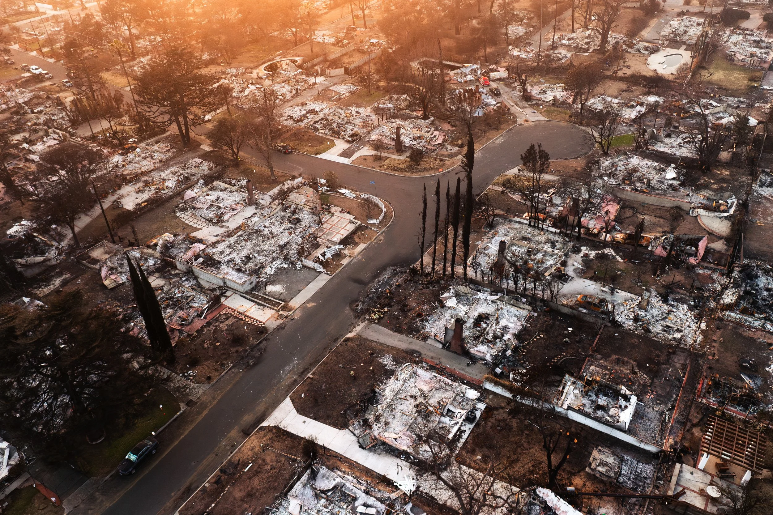 12 - A Landscape of Total Loss