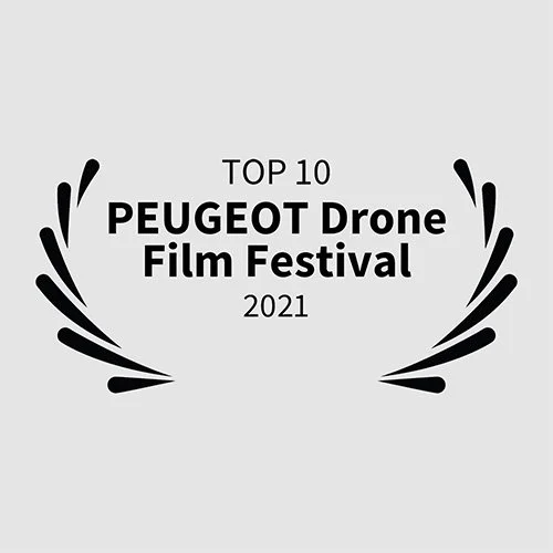 top 10 festival pegeot-1.jpg