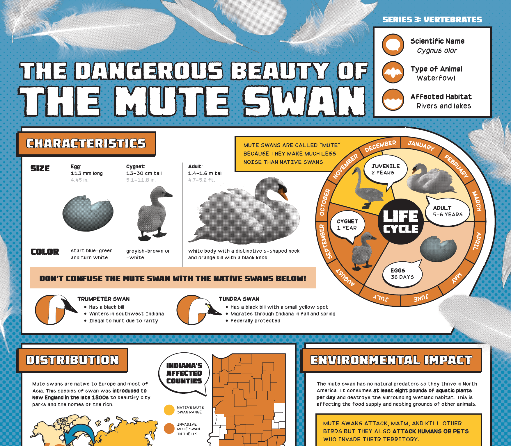 Invasive Species Project — Art by Pizzaface