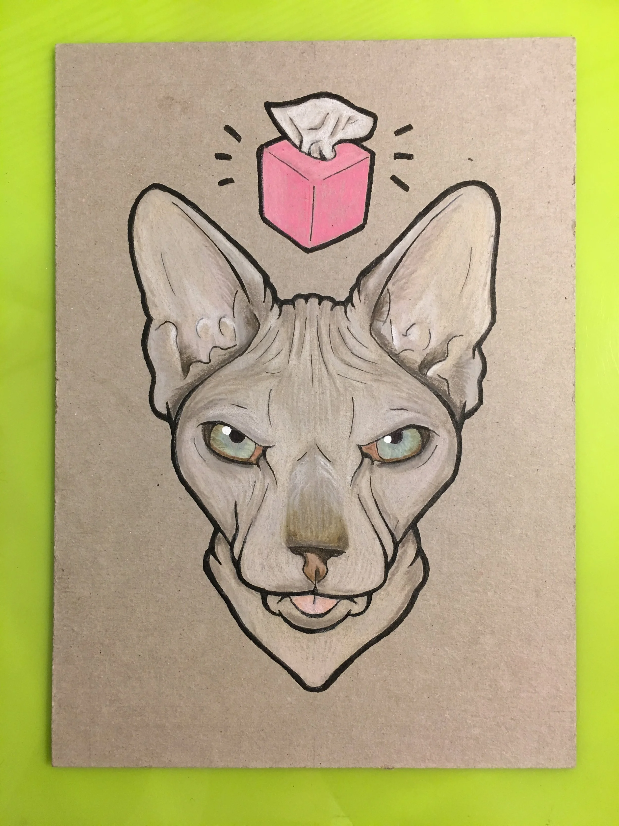 Pet Portraits