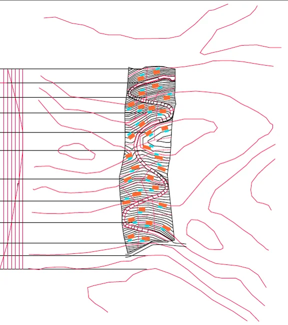 design4stmartin5L.jpg