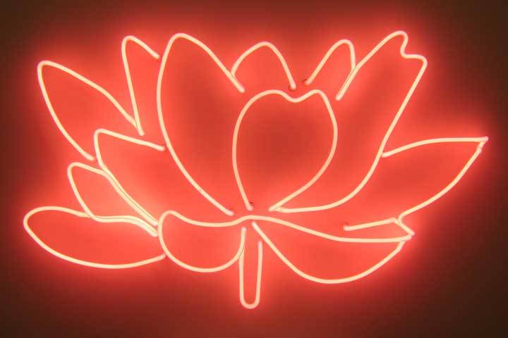 neon_lg_07.jpg