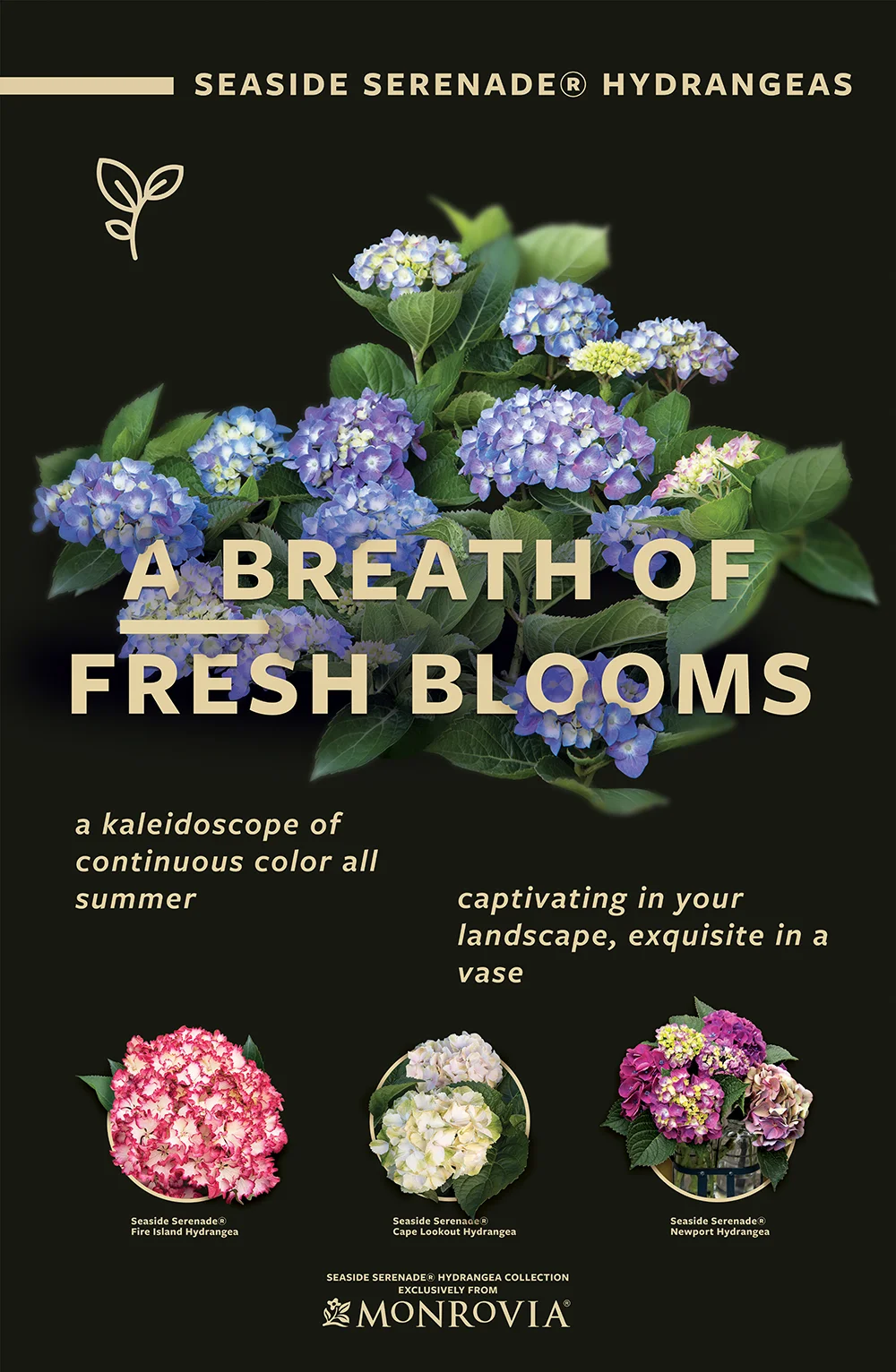 Seaside Serenade Hydrangea Poster
