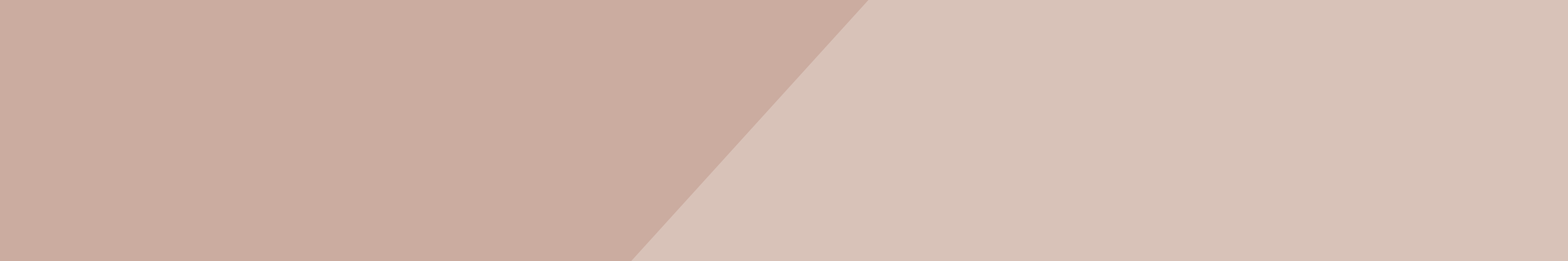 brow canvas soft pink banner.png