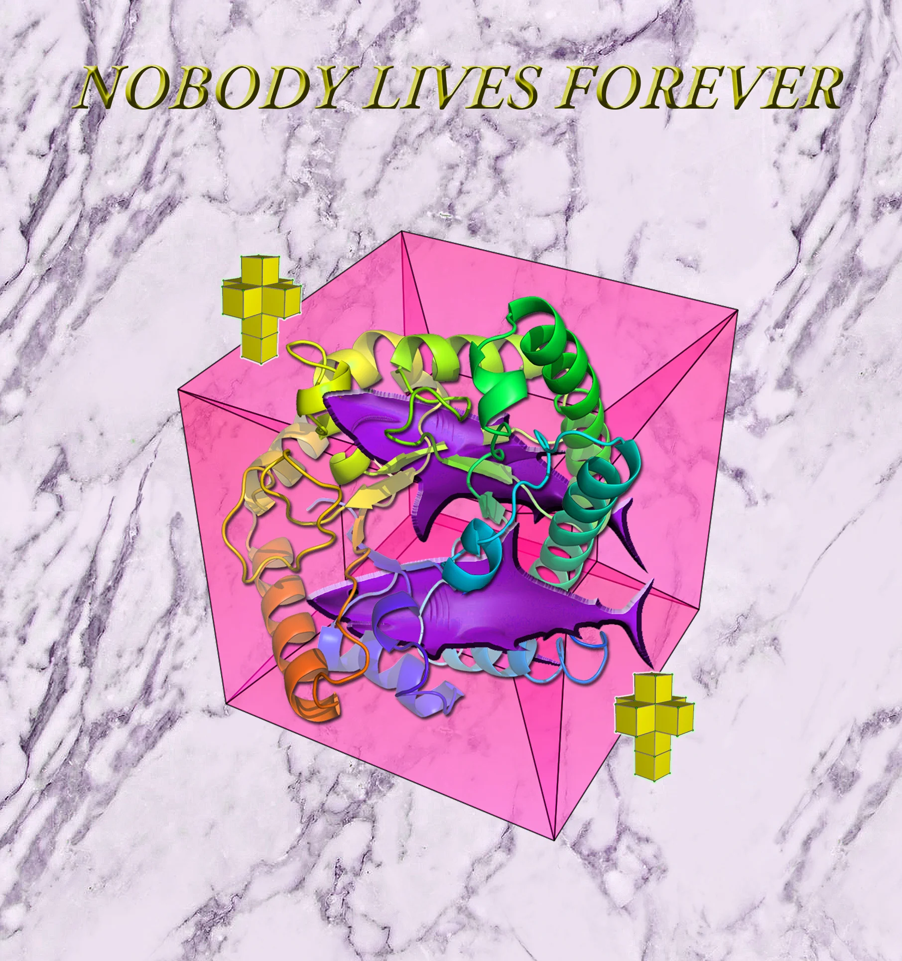 NOBODYLIVESFOREVER.jpg