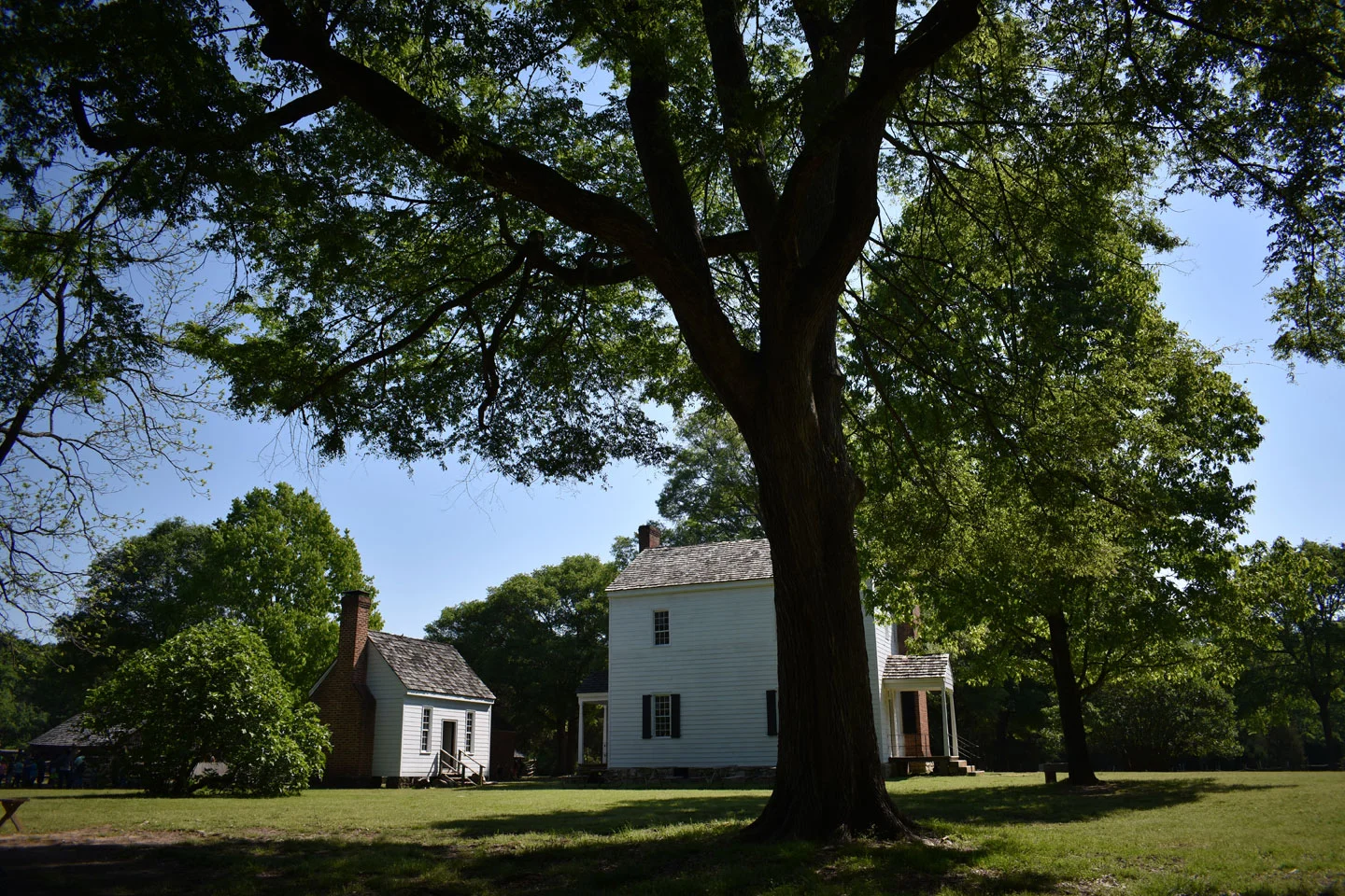 Latta Plantation **Not pictured: The cat that chased a sheep**
