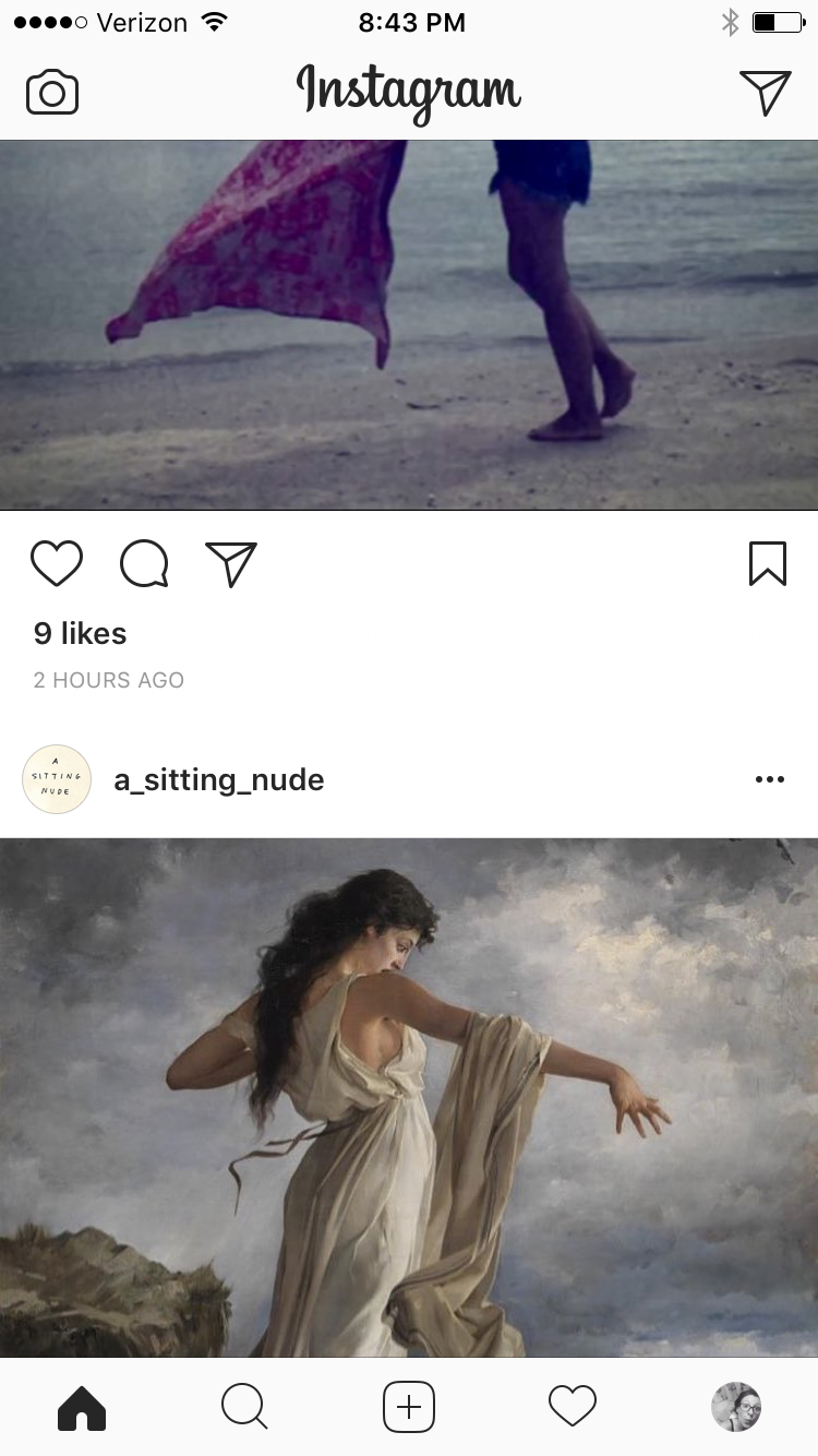   This is a daily practice.    It requires the accident of two perfect images appearing next to each other in the newsfeed.&nbsp;It is a collage.&nbsp; A way of seeing within the current era of mass niche image digestion. 