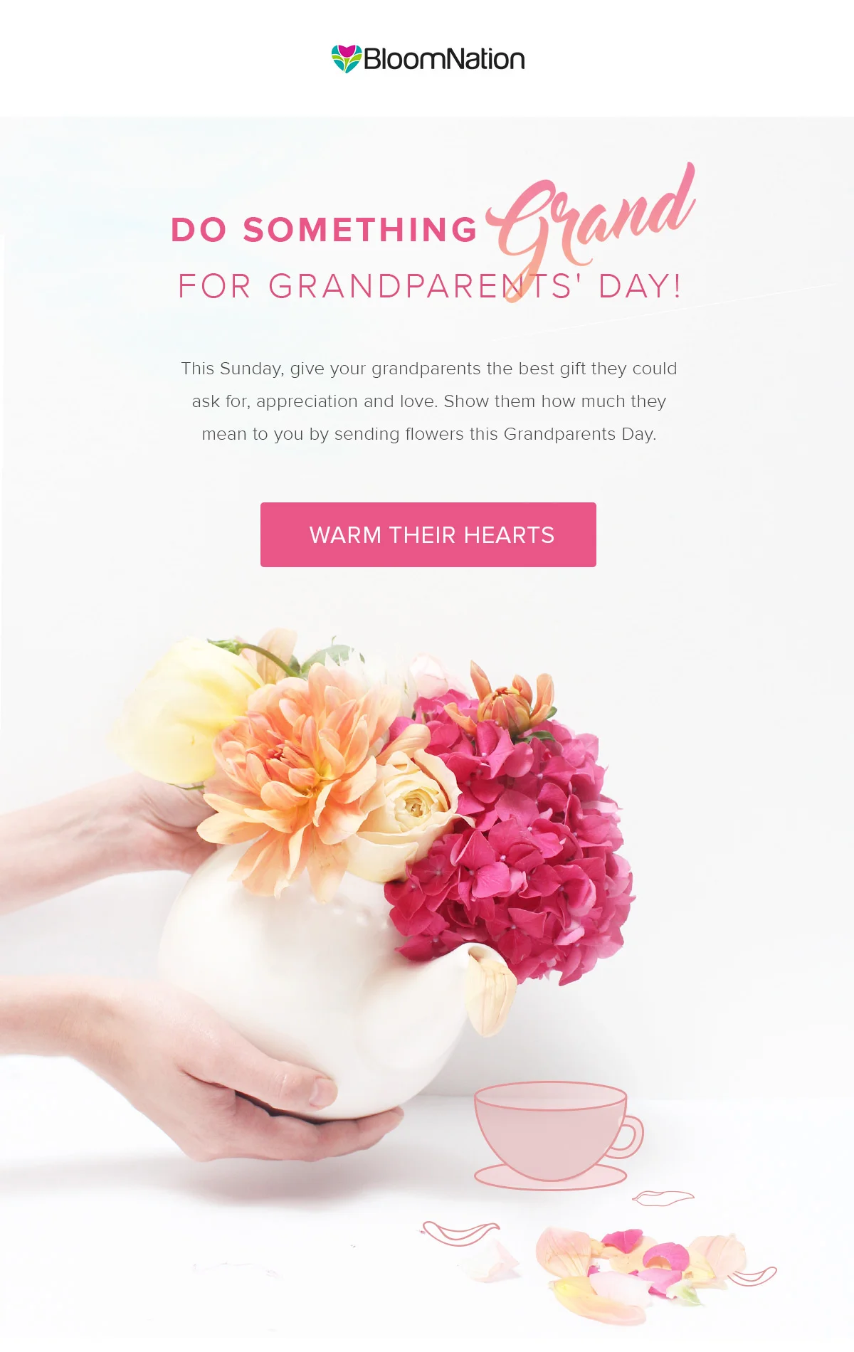  My Role: Photographer, Visual Concept 