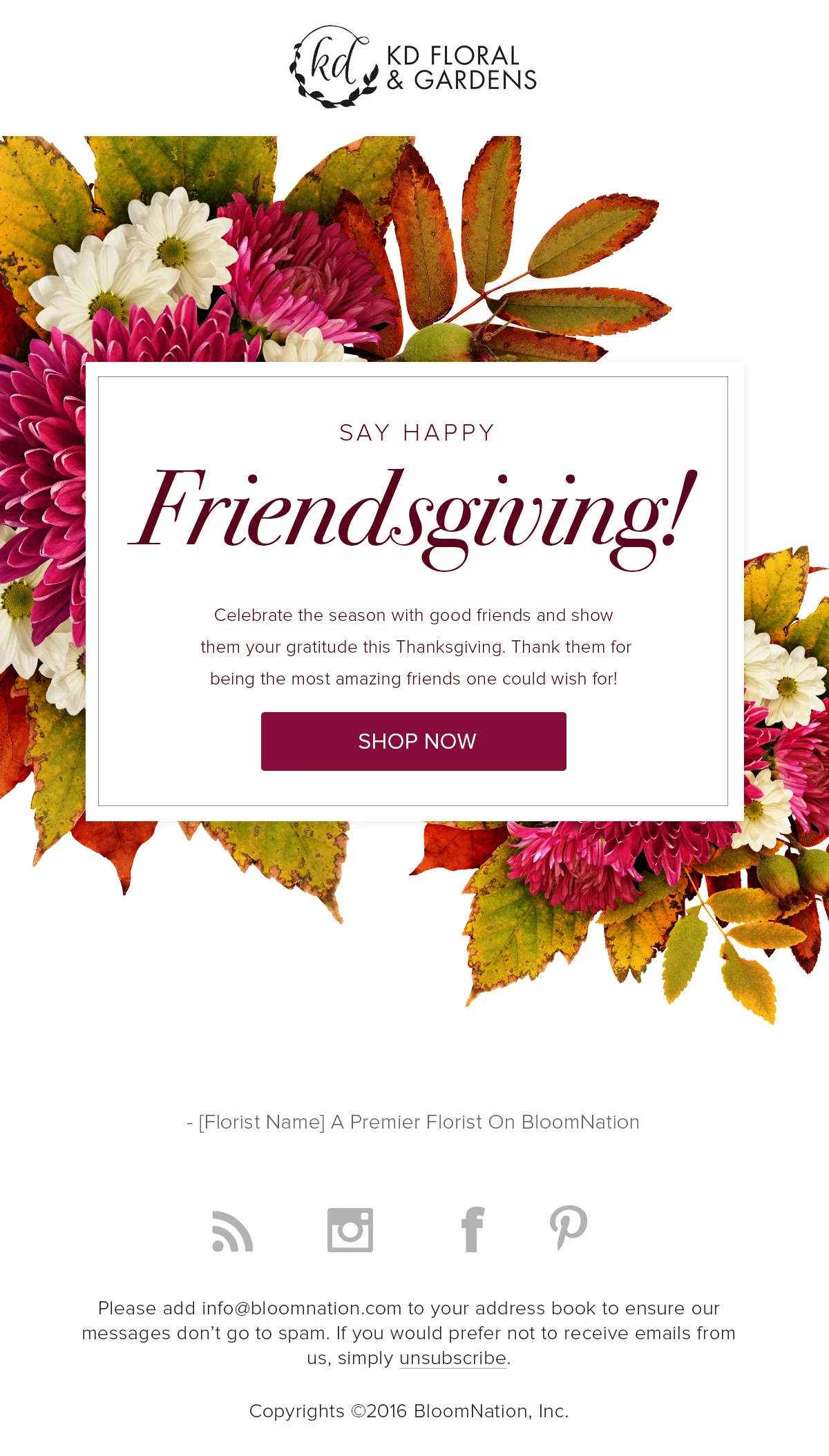  My Role: Visual Concept, Email Design 
