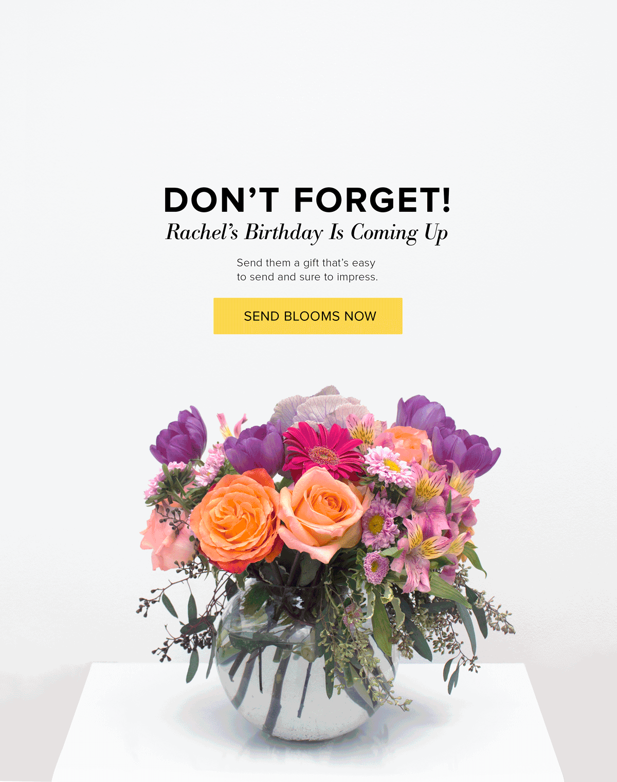  My Role: Photographer and Email Design 