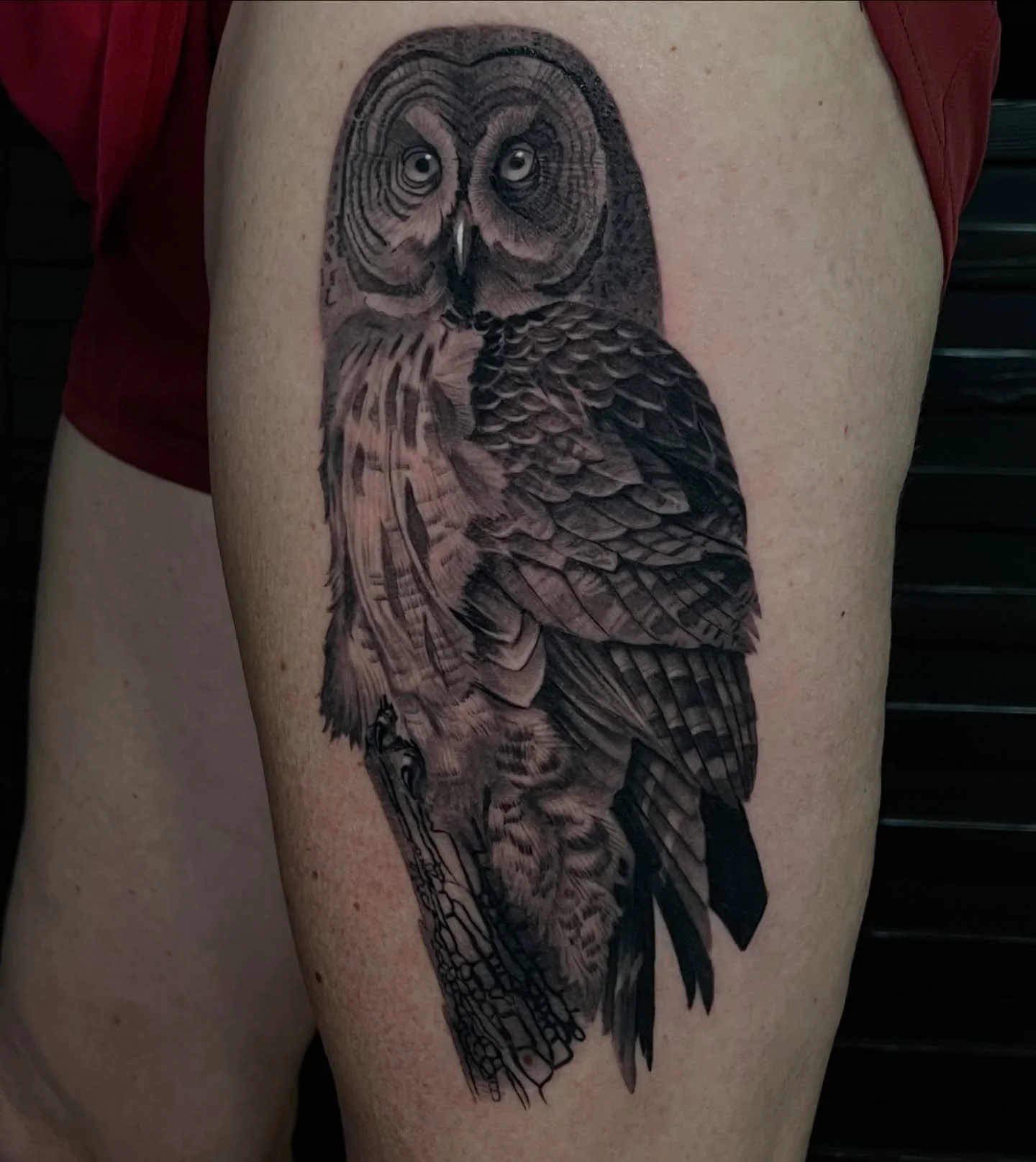 Great Grey Owl 🦉 
..
All healed! &mdash;> Swipe for Video

#owltattoo #greatgreyowl #blackandgrey #tattoo #chicagoartist