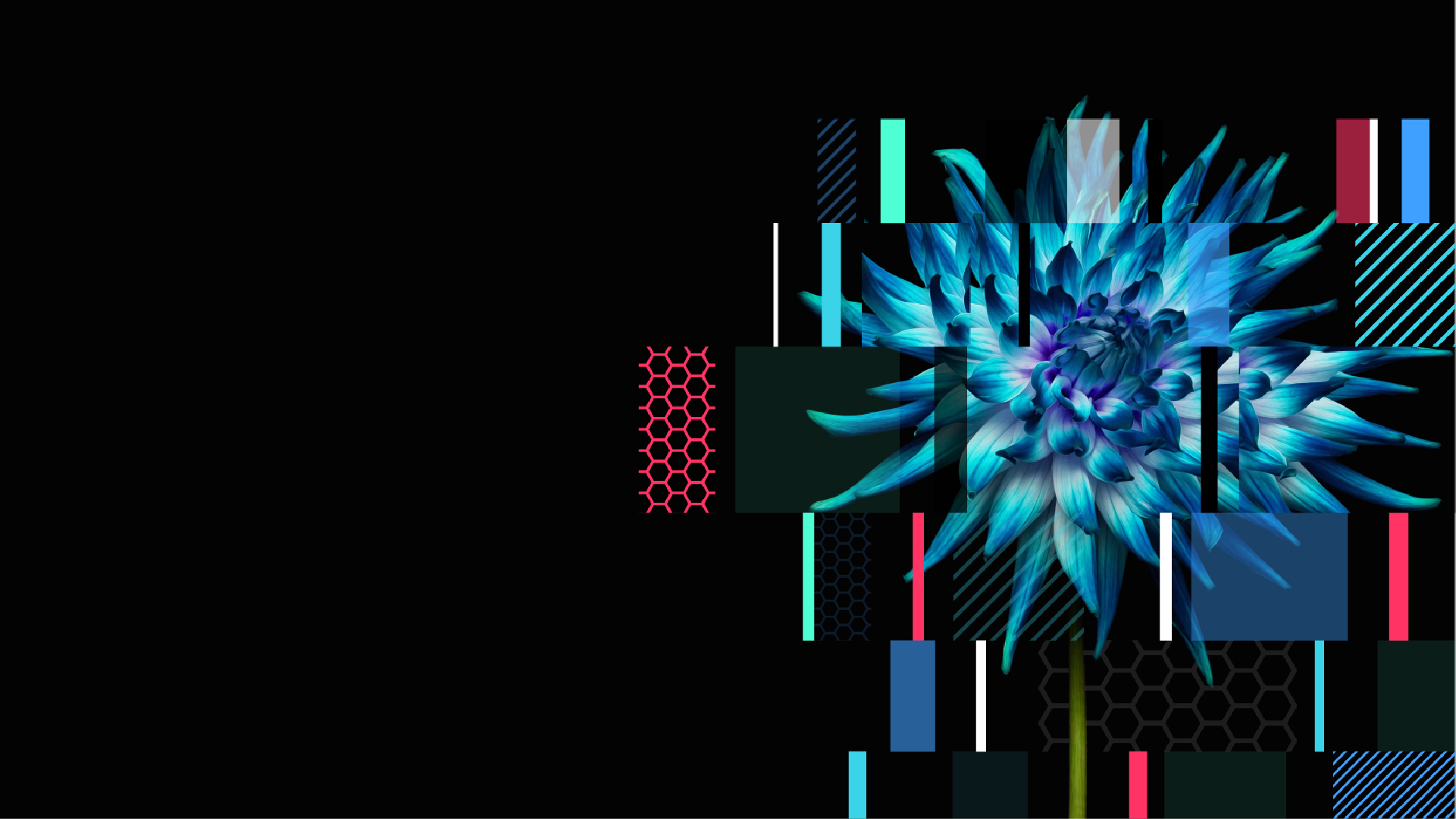 Banner04thumb.png