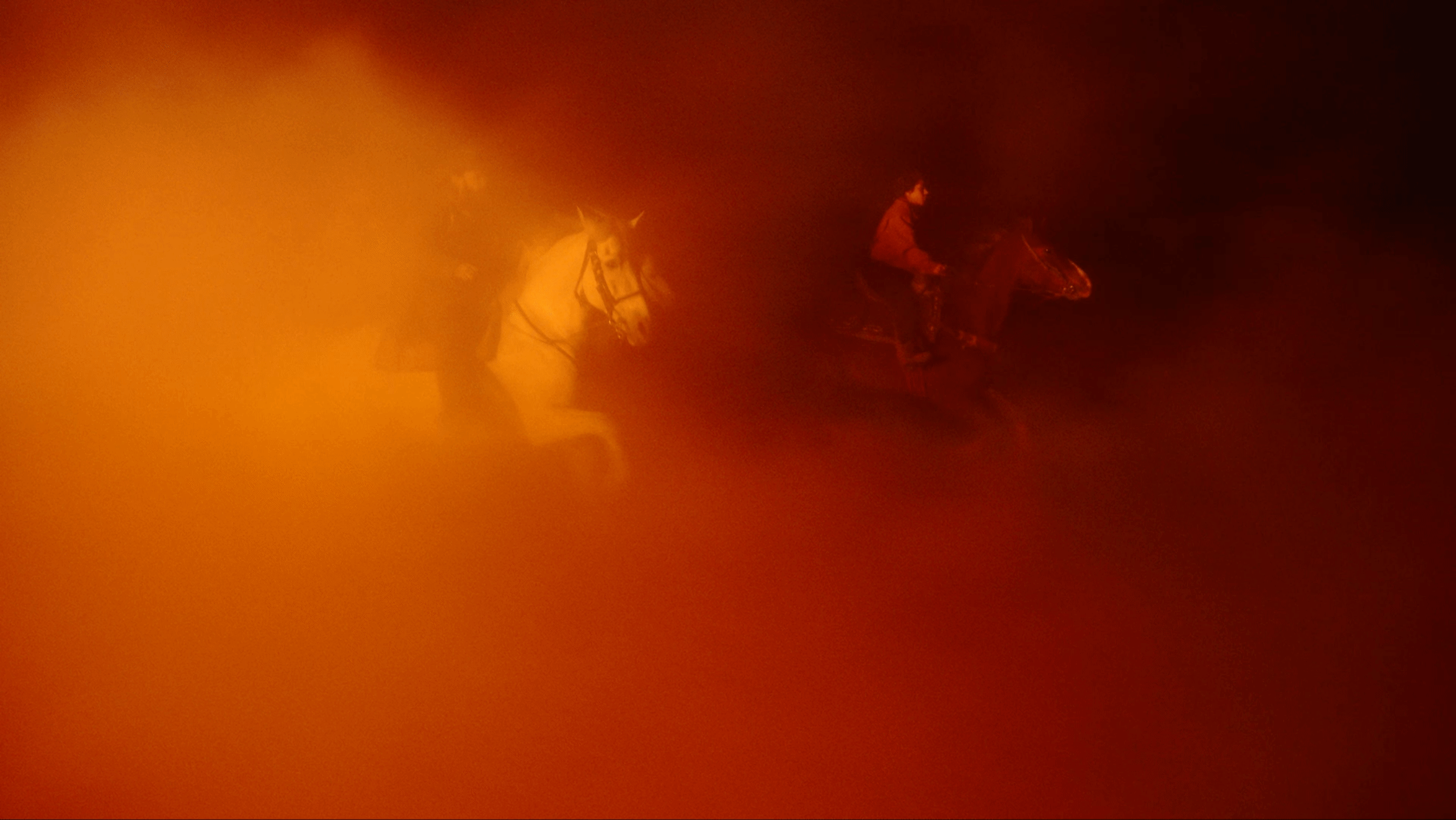 Codigo_Horses_05.gif