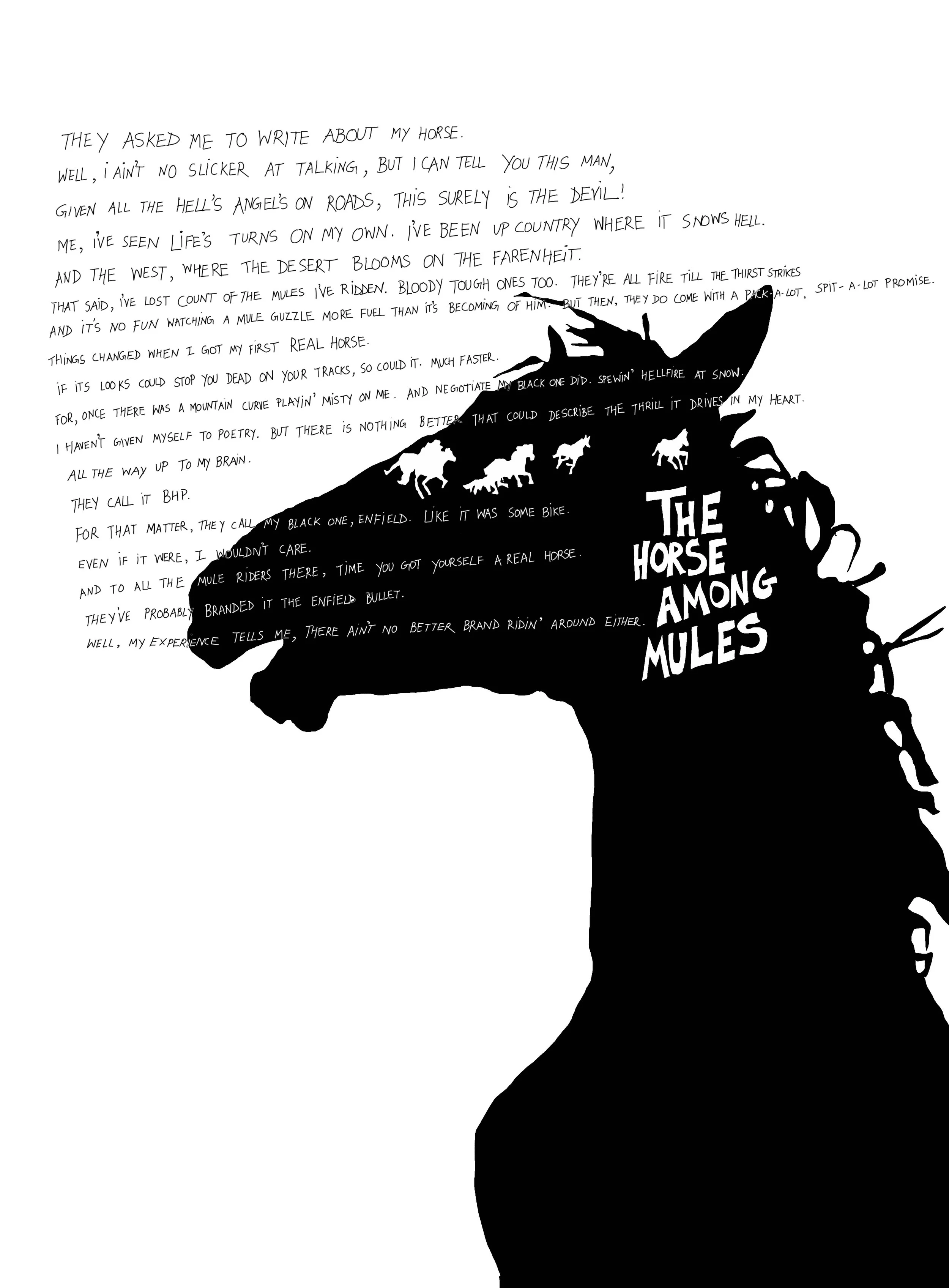 horse among mules.jpg