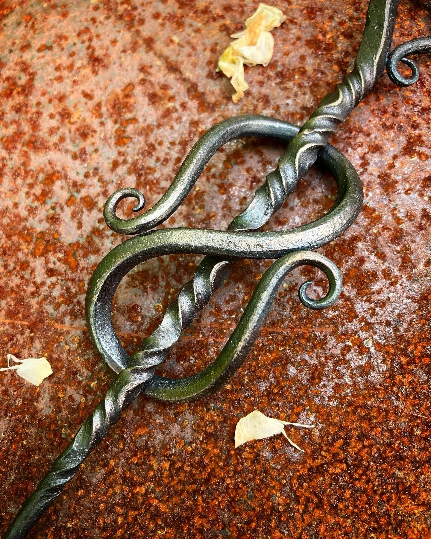 98D2FEF8-7D1B-4143-8655-A24F93E076A7