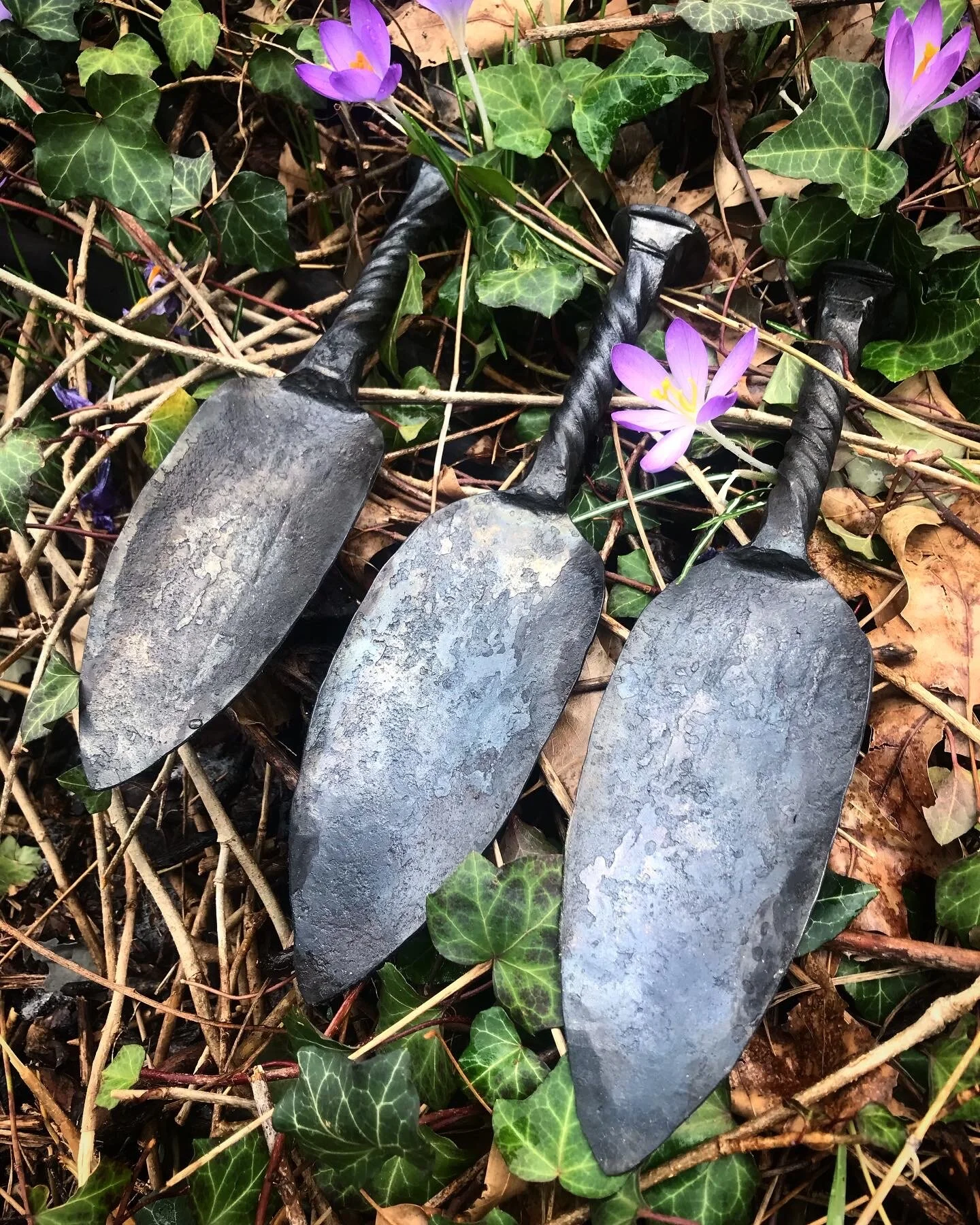 9DAB4CFF-E92D-4BC0-B35C-650064B26300