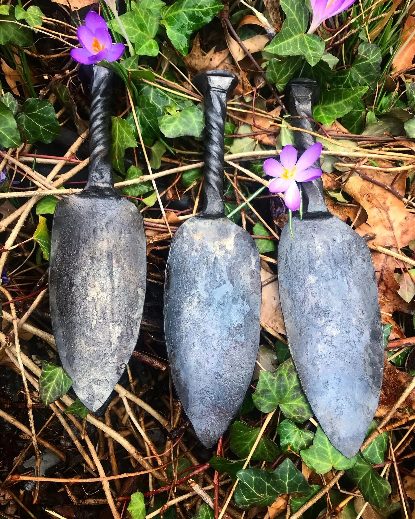 85D39301-0C10-48E5-A8D4-B0791E1D12F1