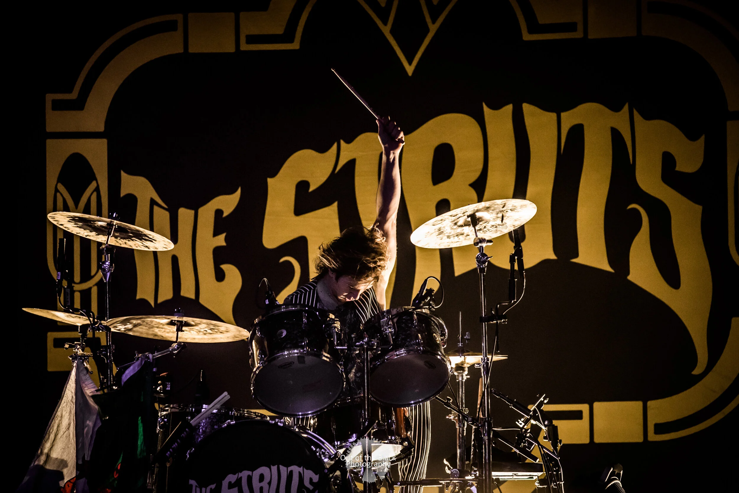 THE STRUTS 11X14 PRINT