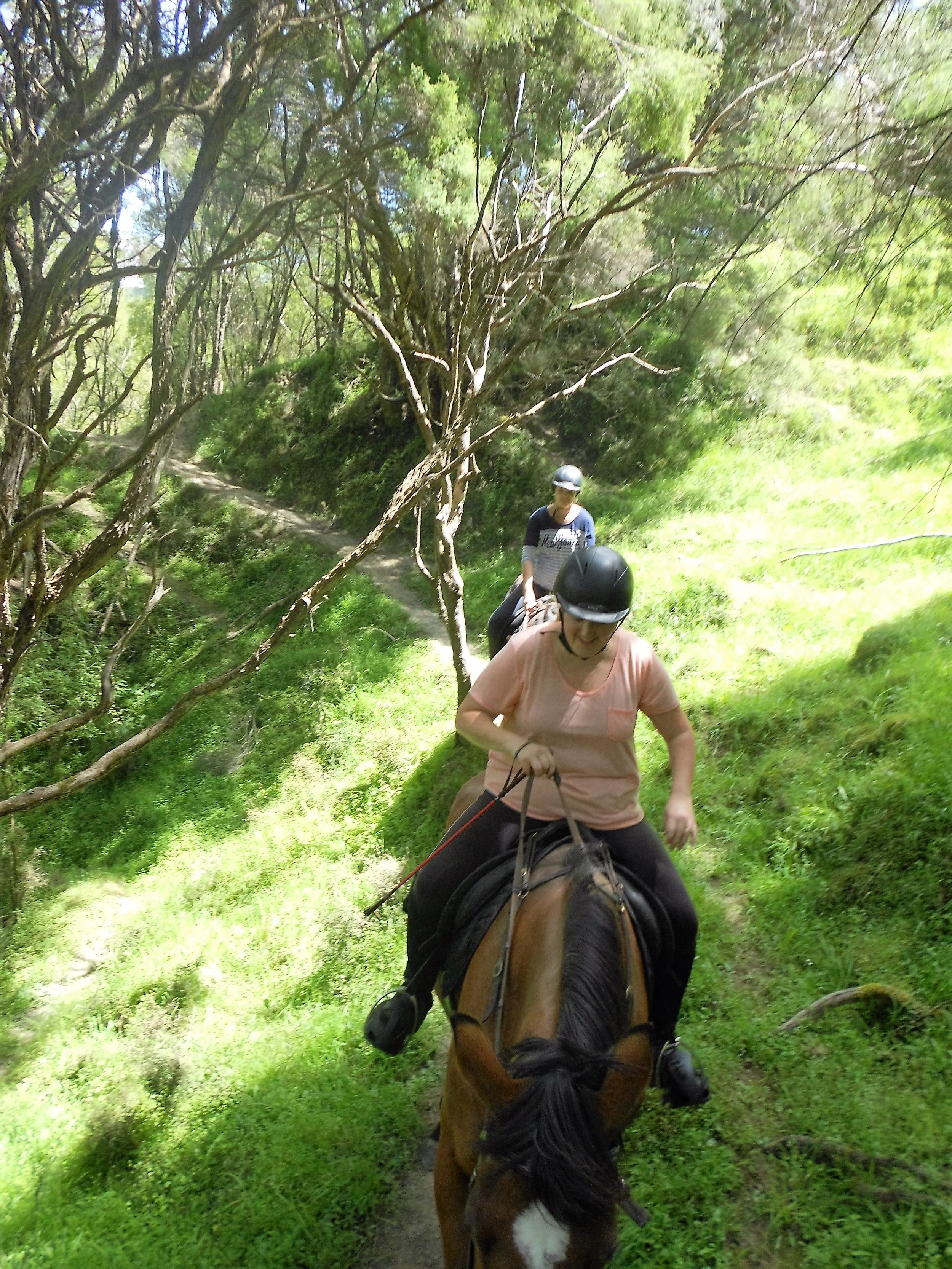 DSCN1204.JPG