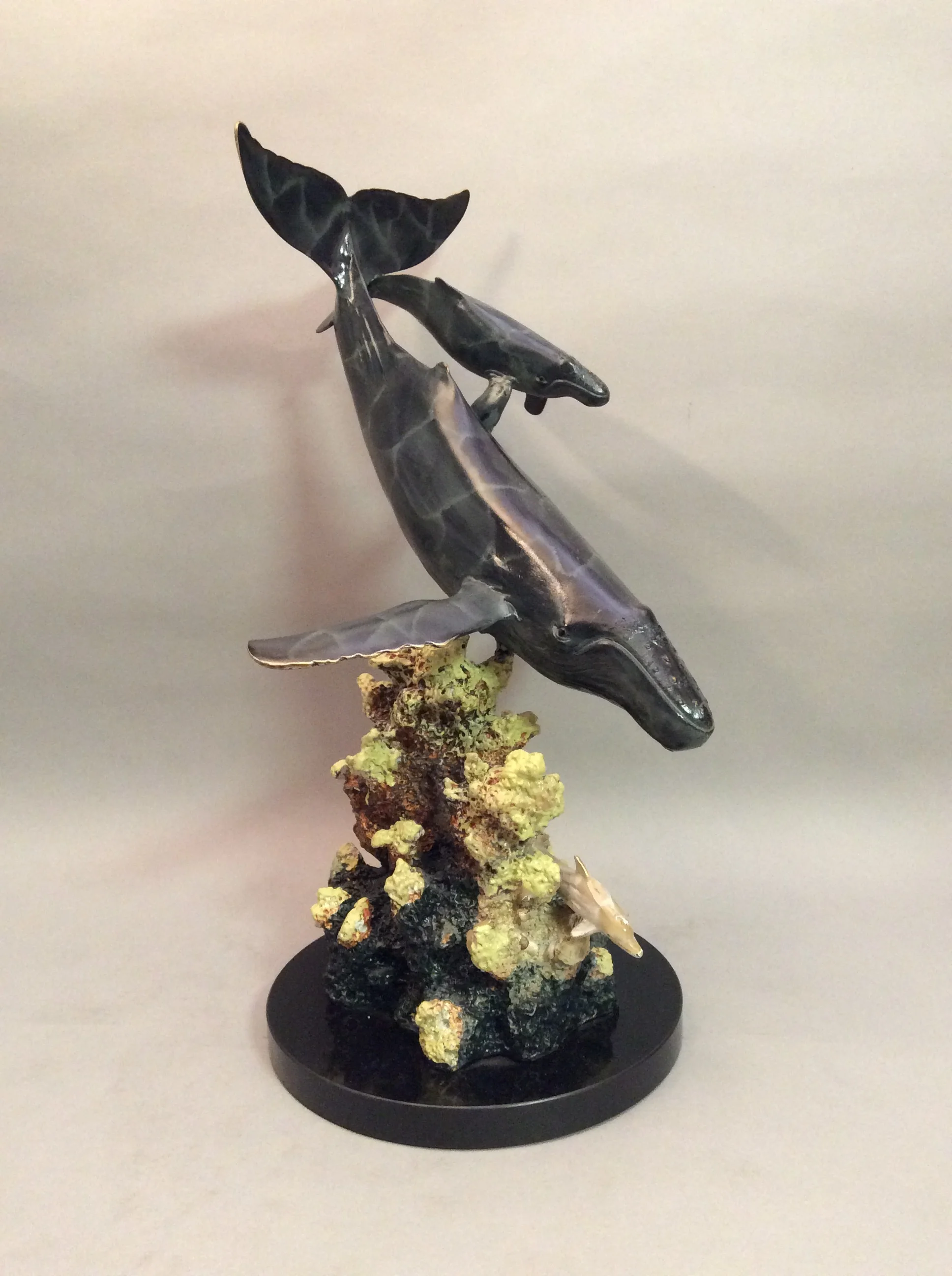 Humpback Whales 30988