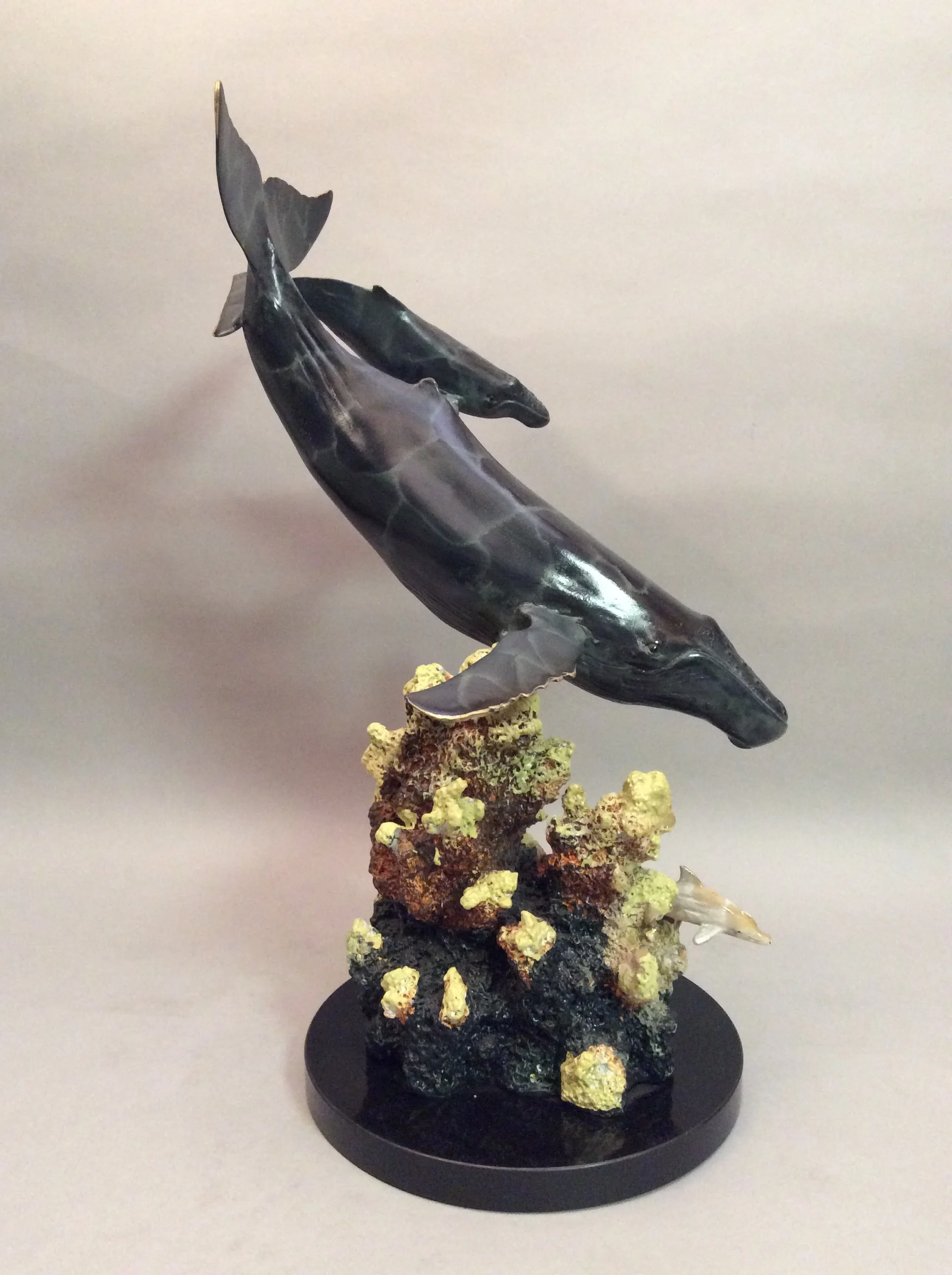 Humpback Whales 30988