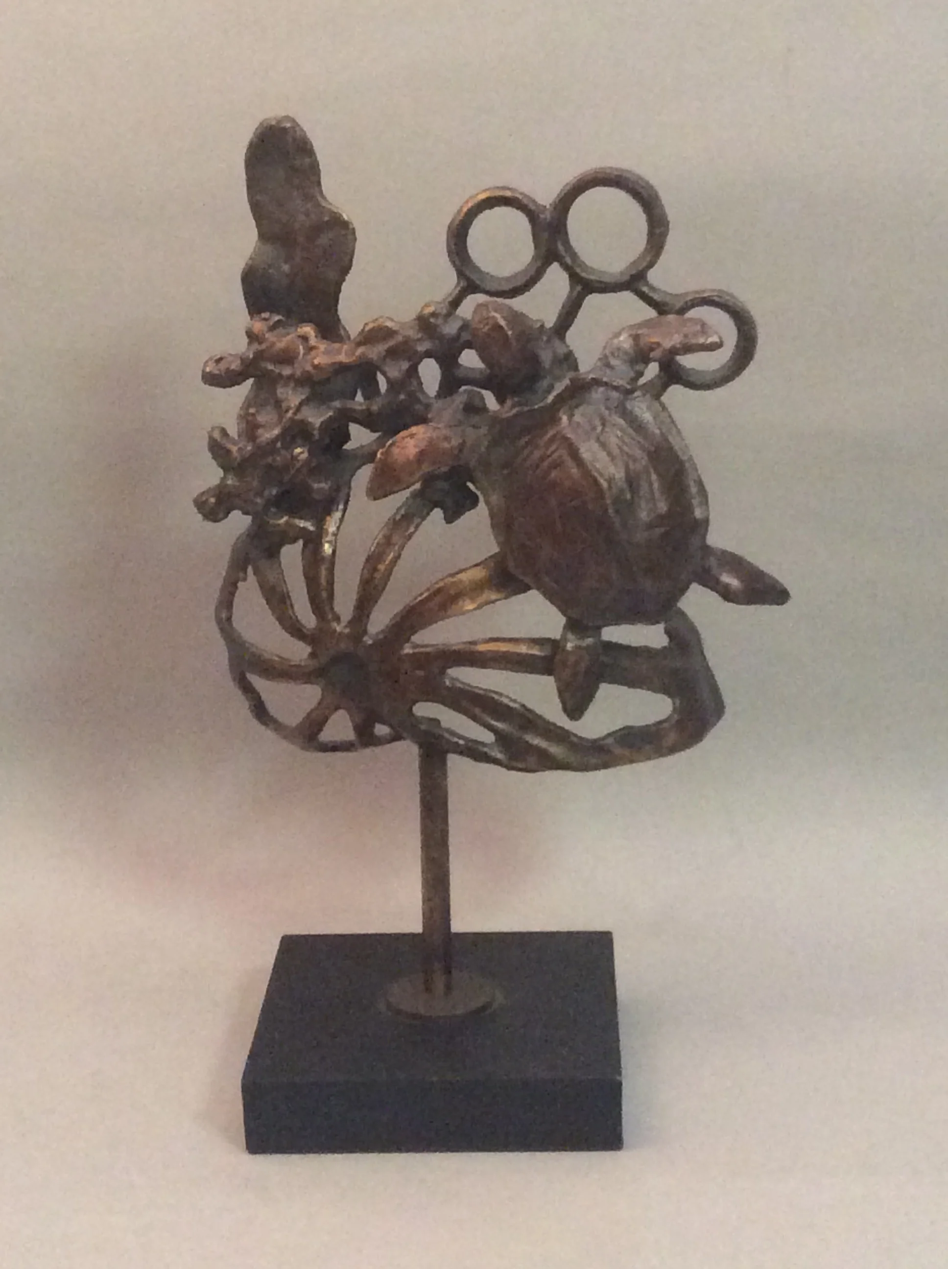 Contemporary Turtle And Shell Figurine