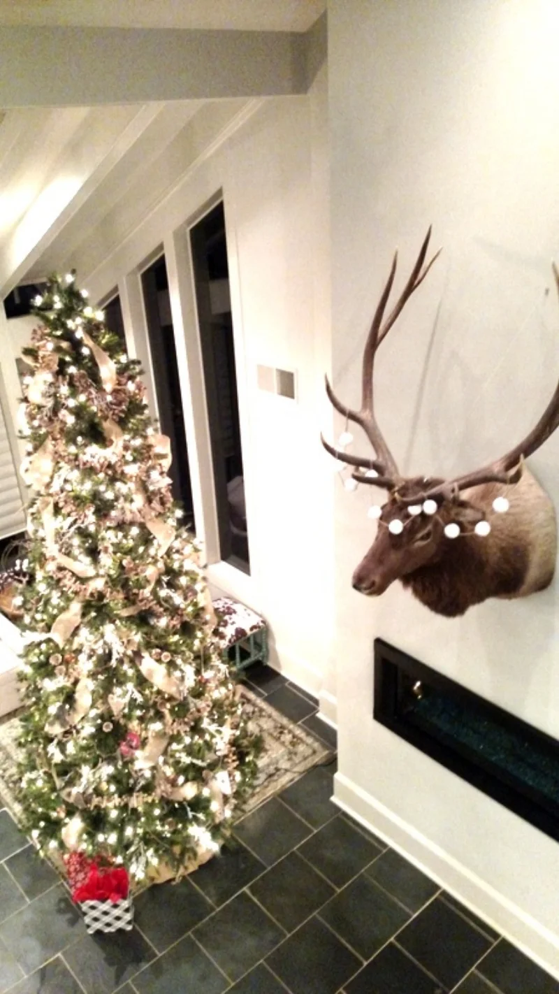 Celebrate:  A Gracious Southern Home on Lake Chickamauga