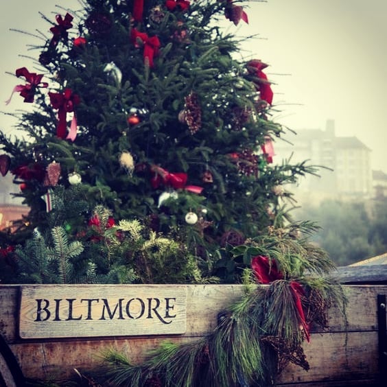 Wagon of fresh greenery at Antler Hill on the Biltmore Estate welcoming the season.  #ashevillenc #biltmoreestate #antlerhillvillage Check out the #biltmorewinery They have a fabulous Special Reserve Chenin Blanc!  Enjoy!!!