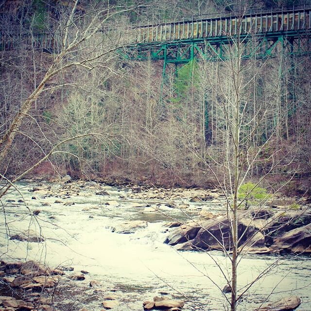 Exploring the #russellbrasstownscenicbyway #ocoeeriver #chattahoocheeriver #nfs A beautiful winter's day!