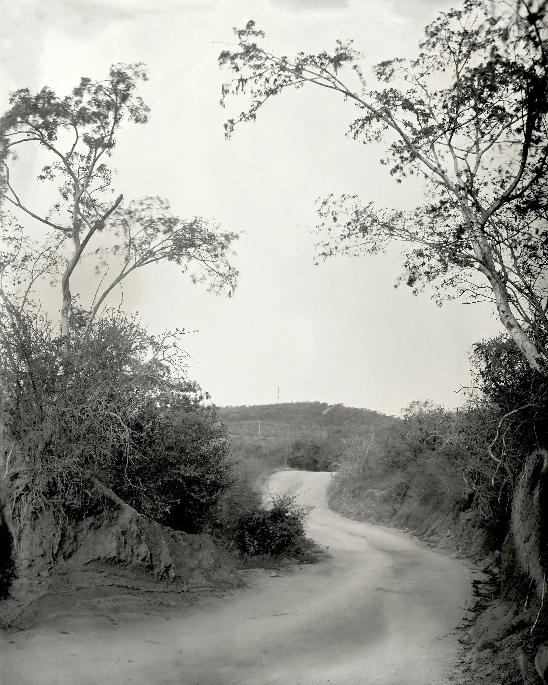 6.Road.jpg